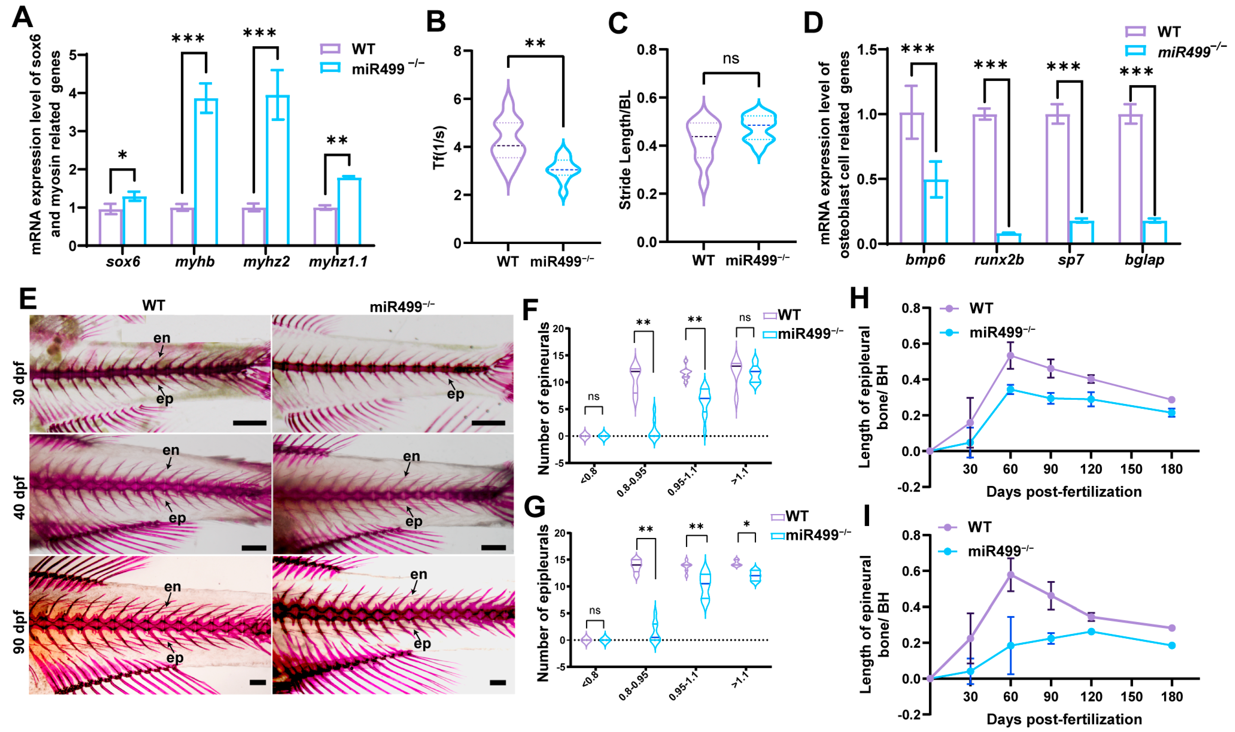 Biology 14 01670 g006 Biology 14 01670 g006