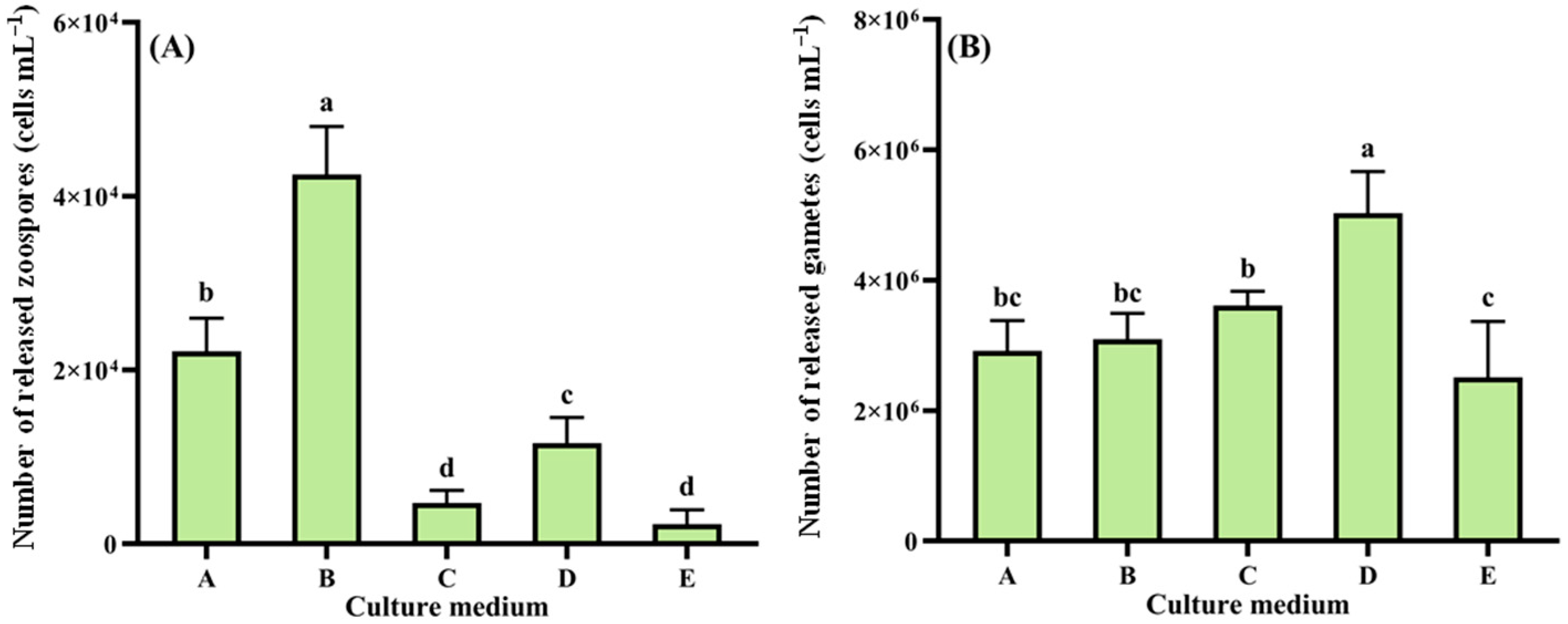 Biology 14 01671 g002
