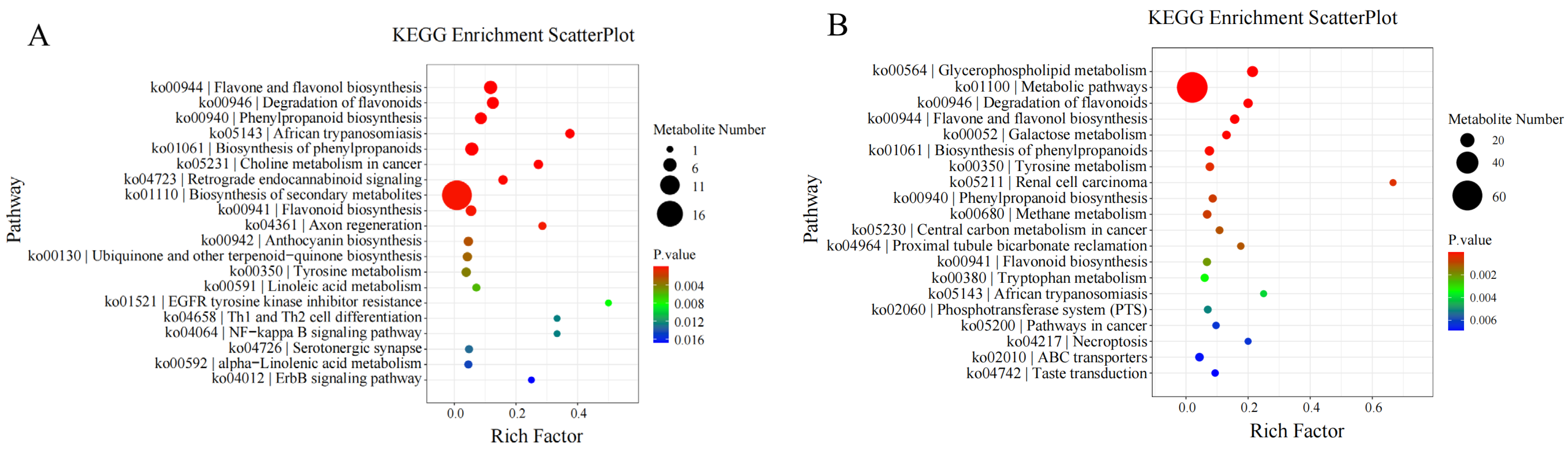 Biology 14 01673 g007a