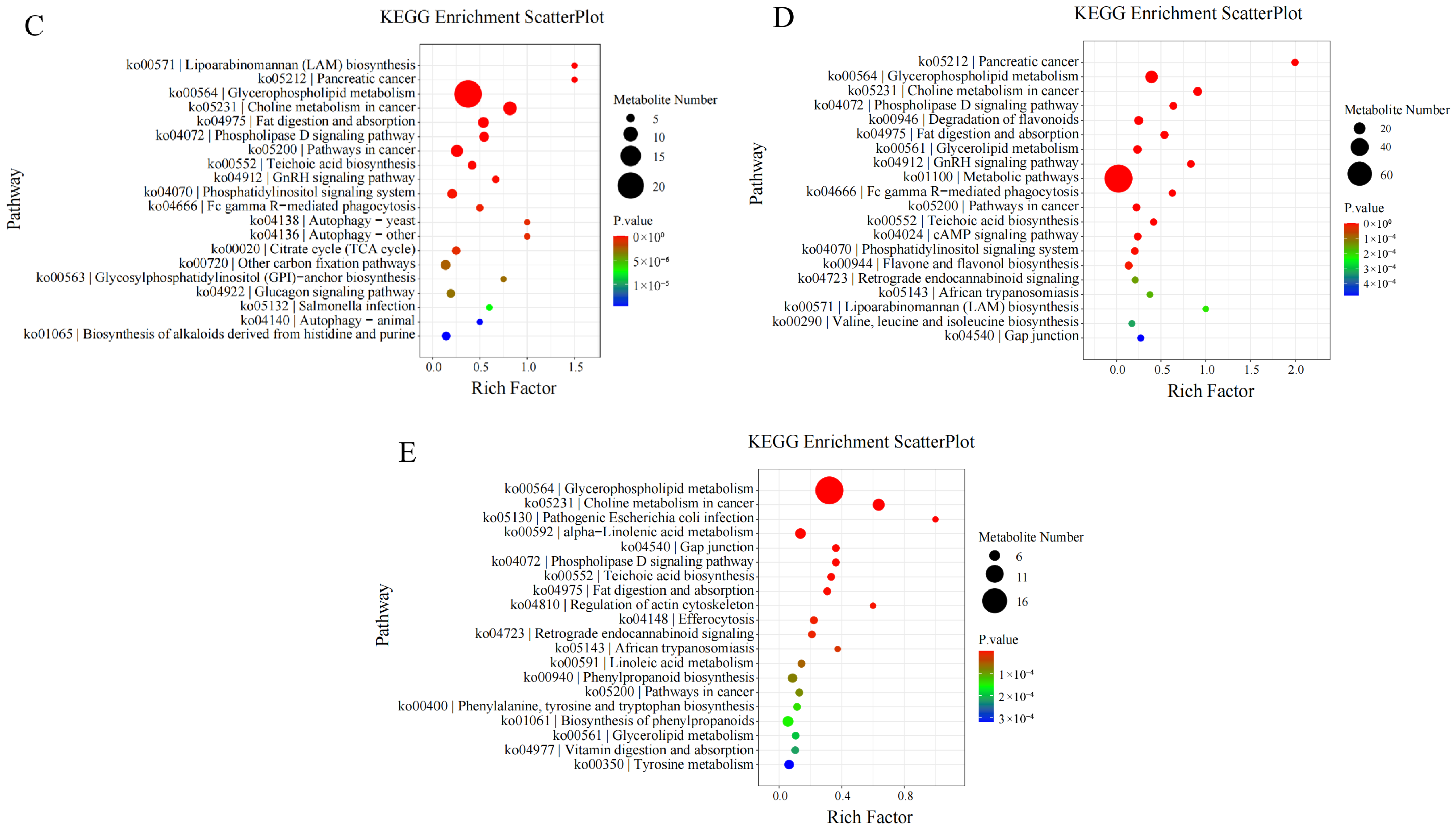 Biology 14 01673 g007b