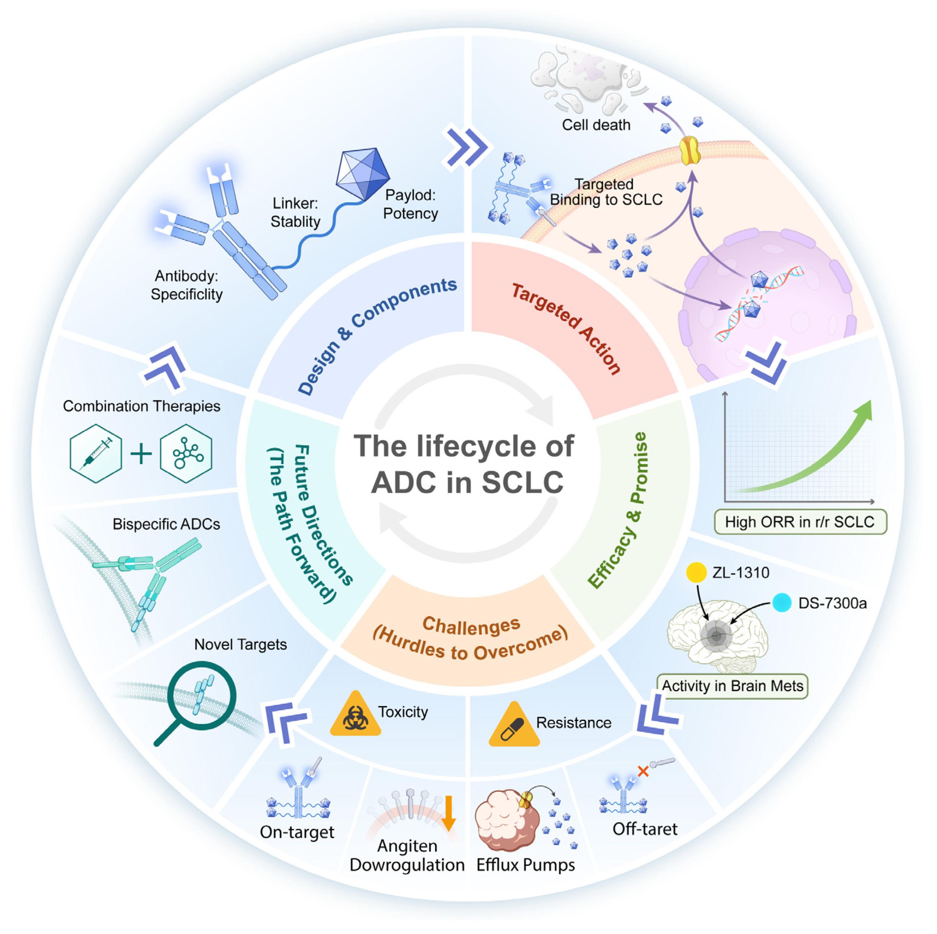 Biology 14 01677 g001