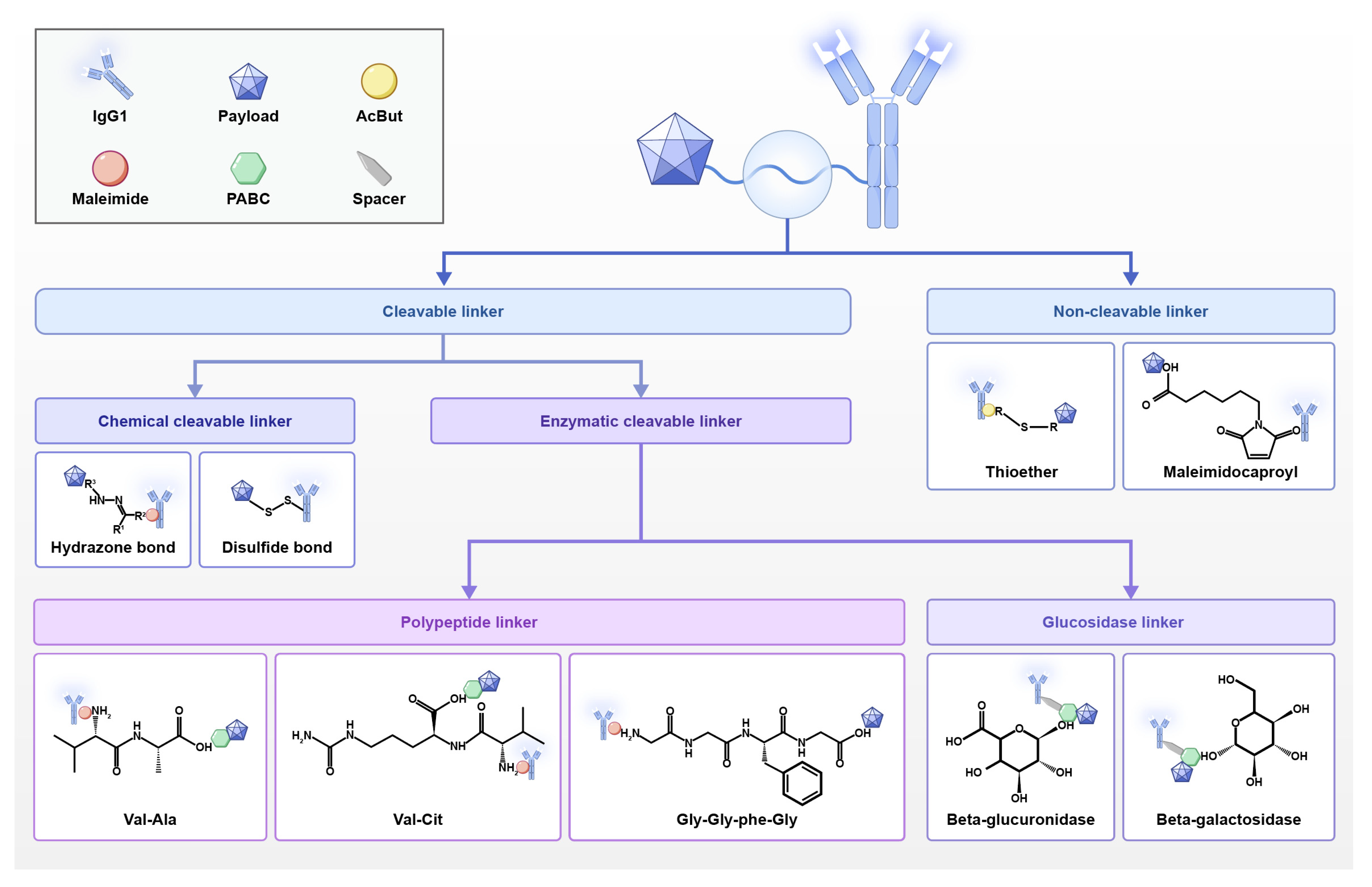 Biology 14 01677 g002