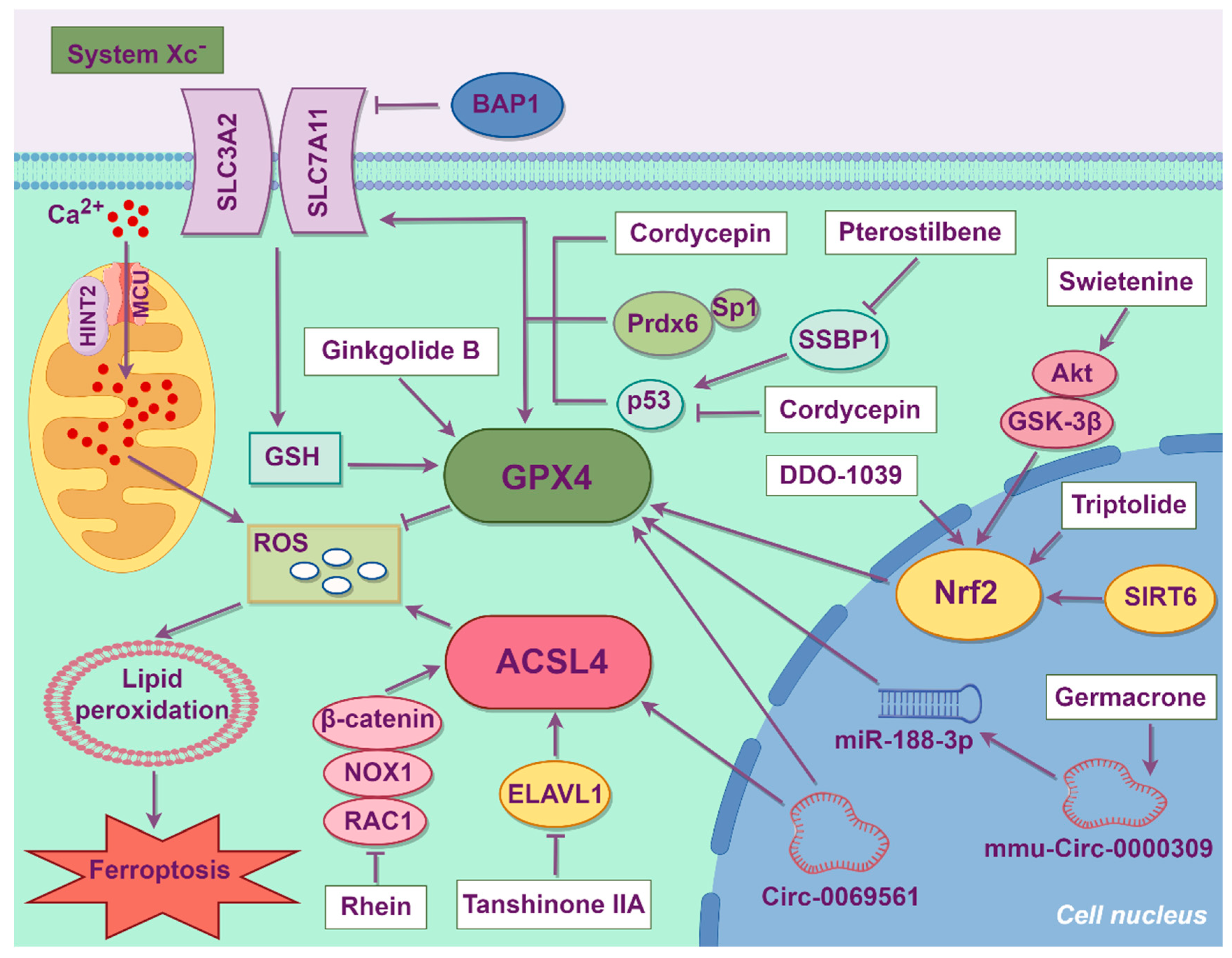 Biology 14 01679 g004