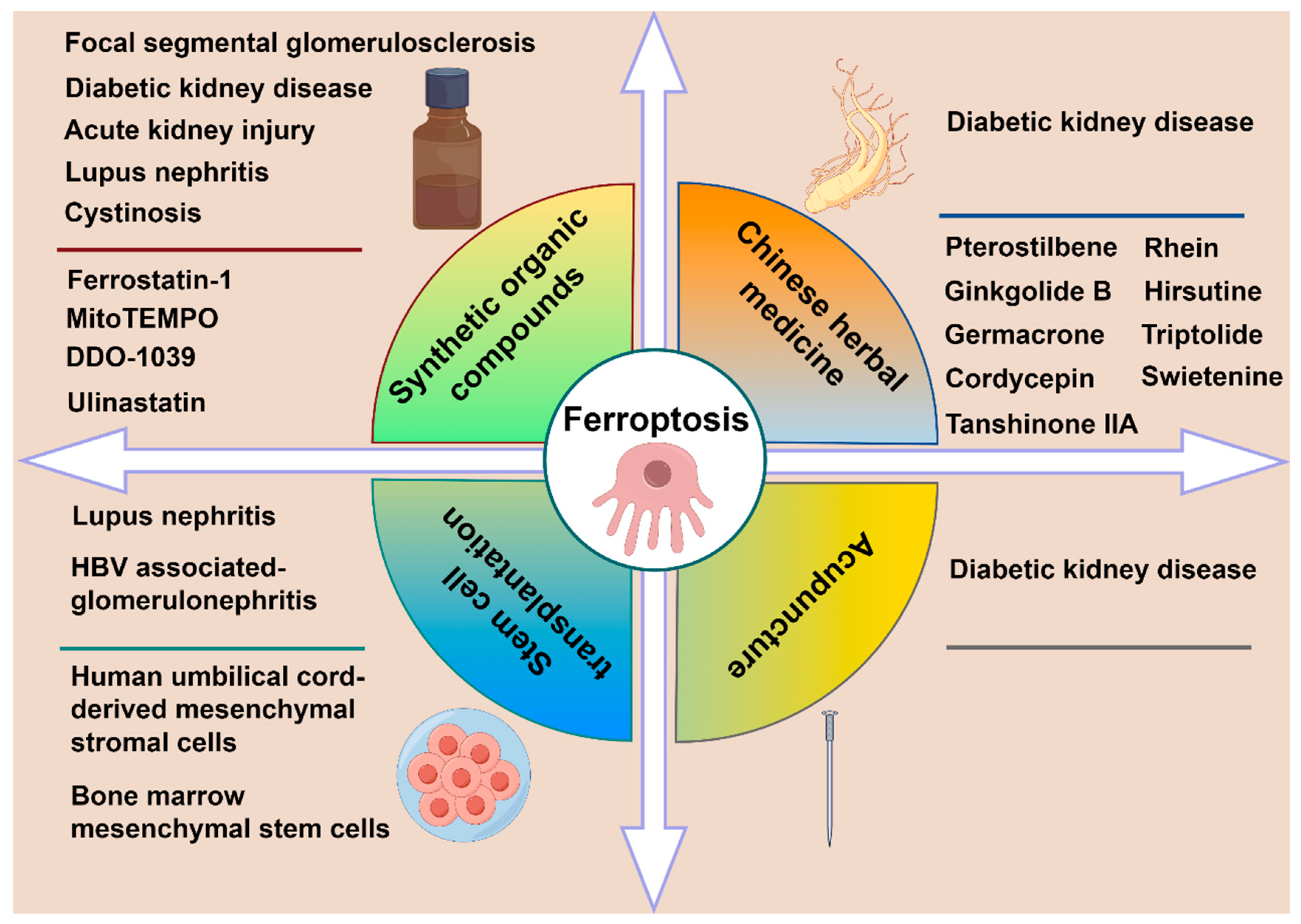 Biology 14 01679 g005