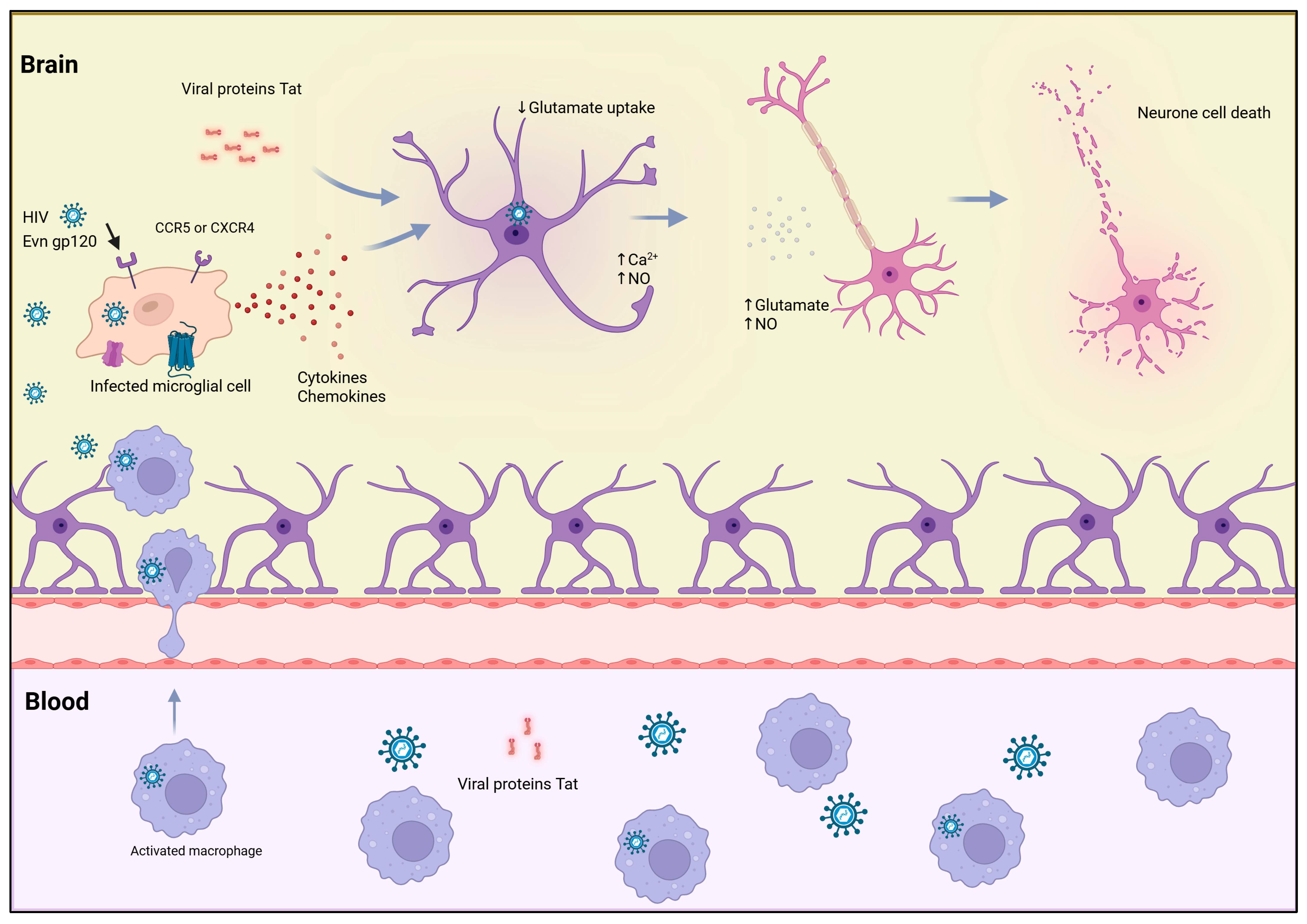 Biology 14 01680 g002