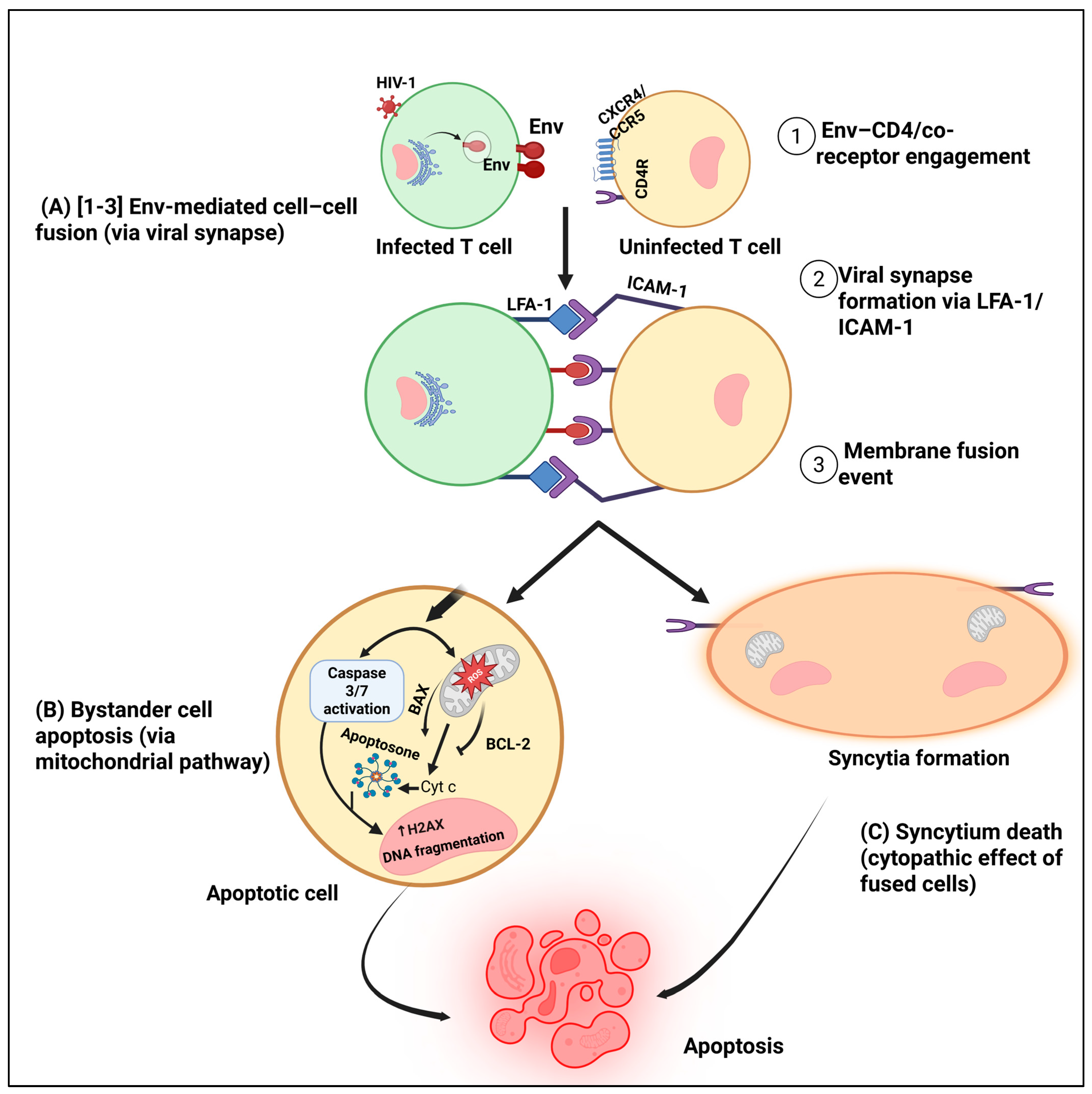 Biology 14 01680 g003
