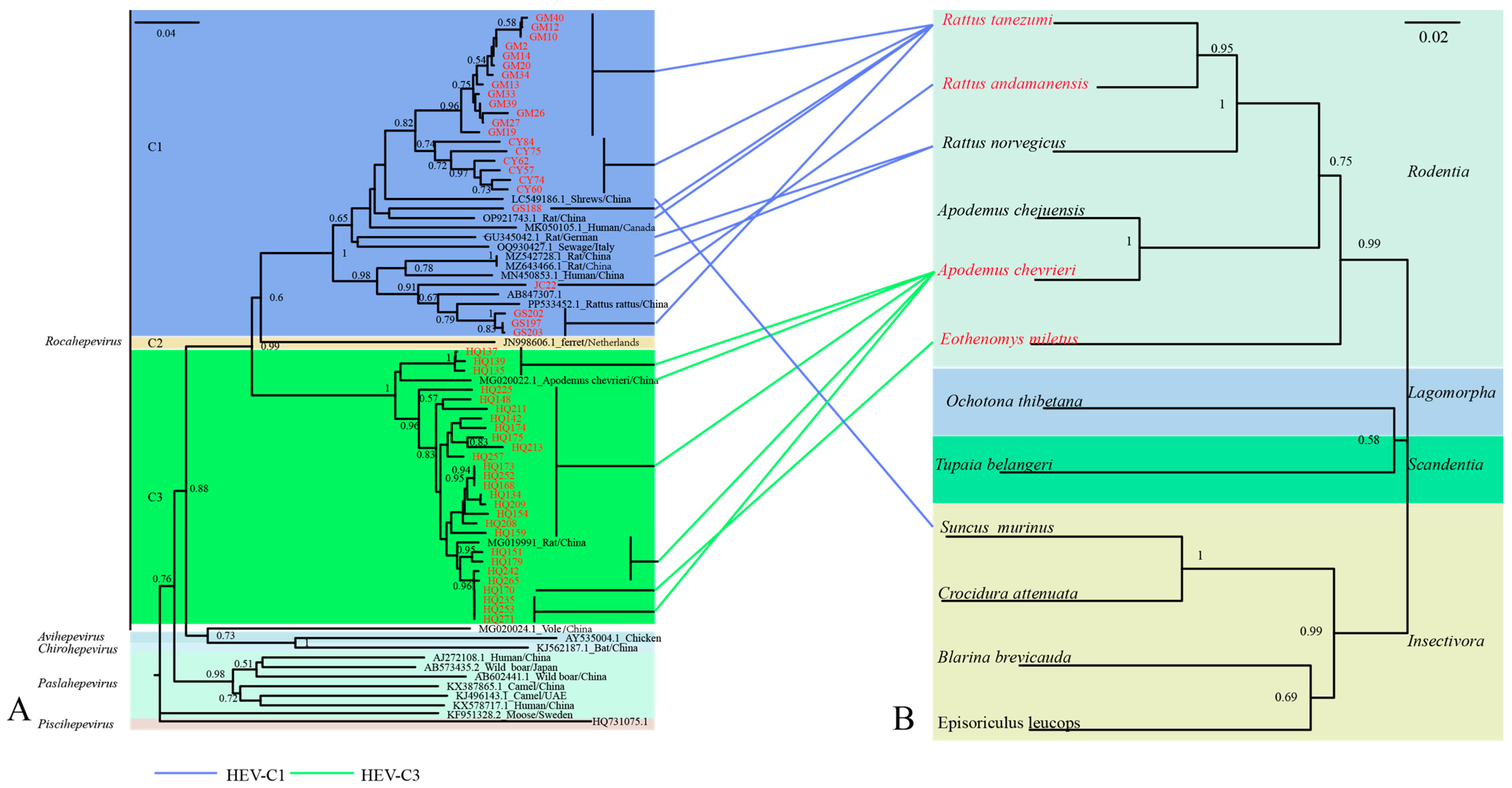Biology 14 01685 g002