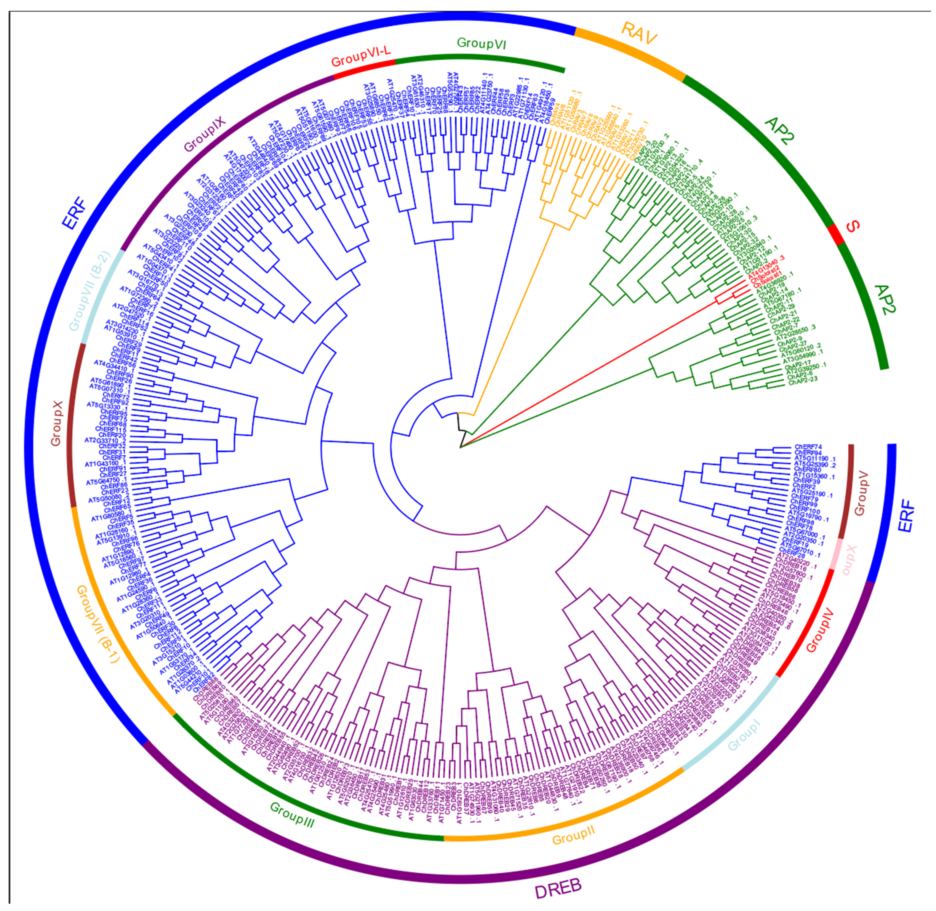 Biology 14 01686 g001
