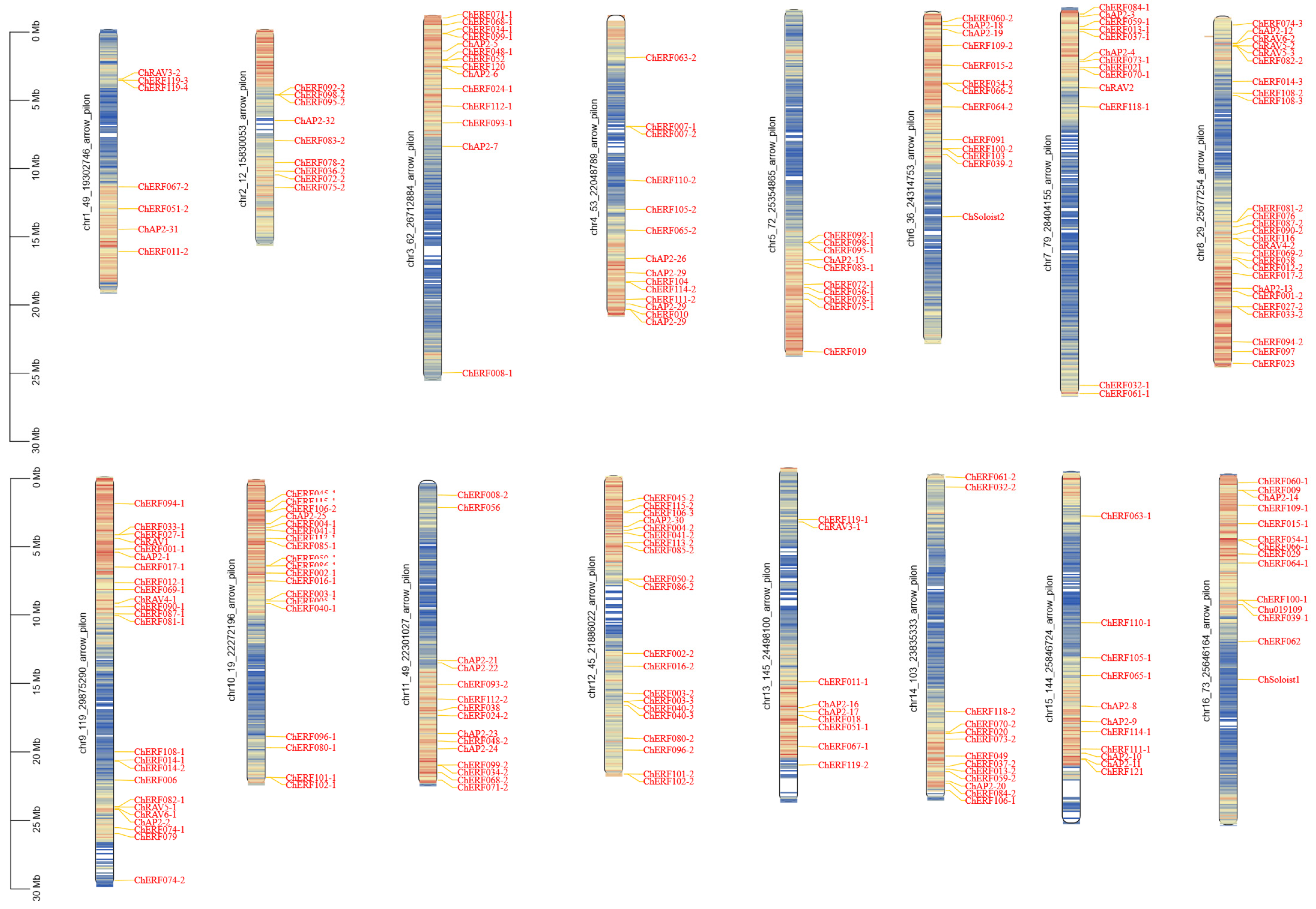 Biology 14 01686 g002