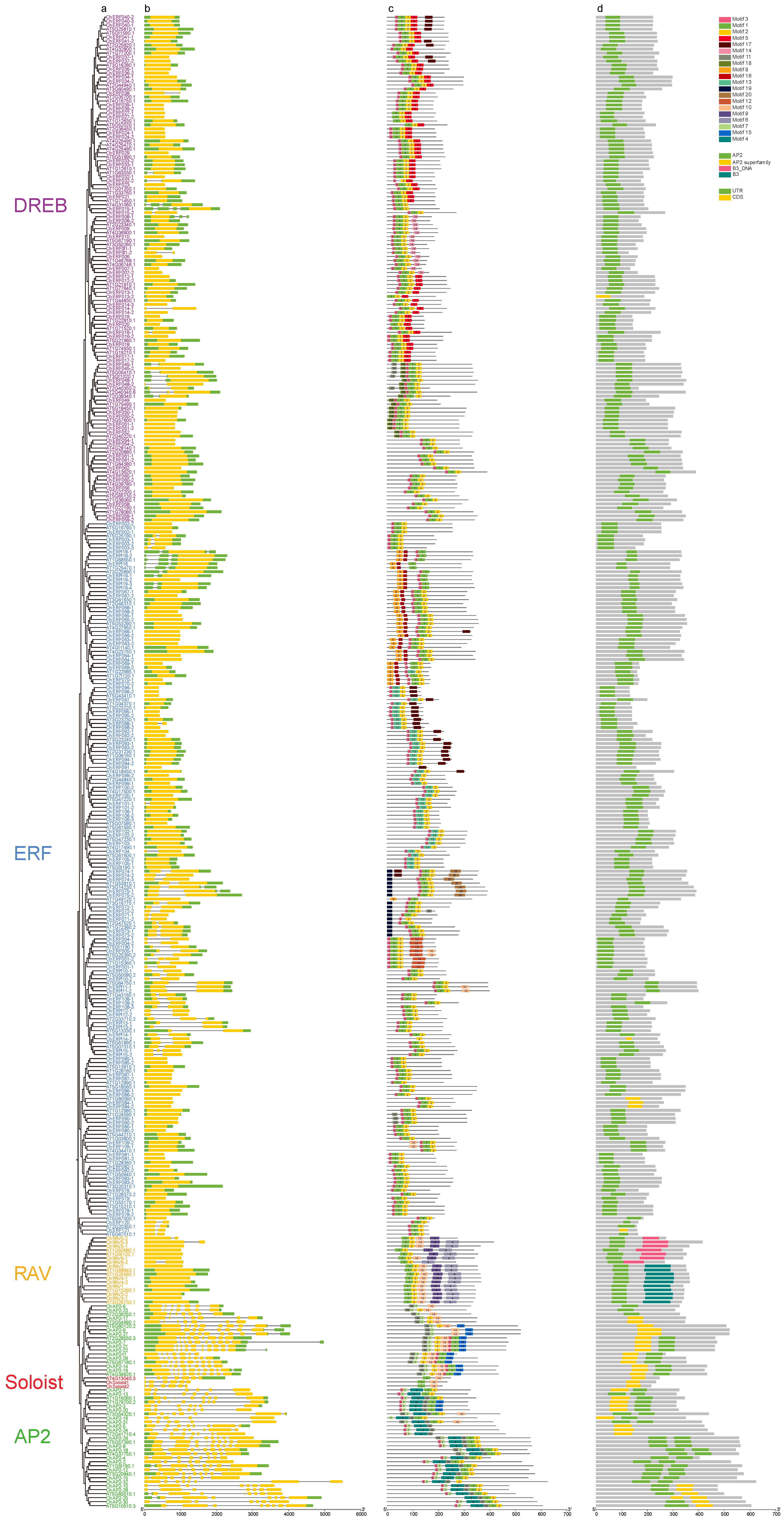 Biology 14 01686 g004
