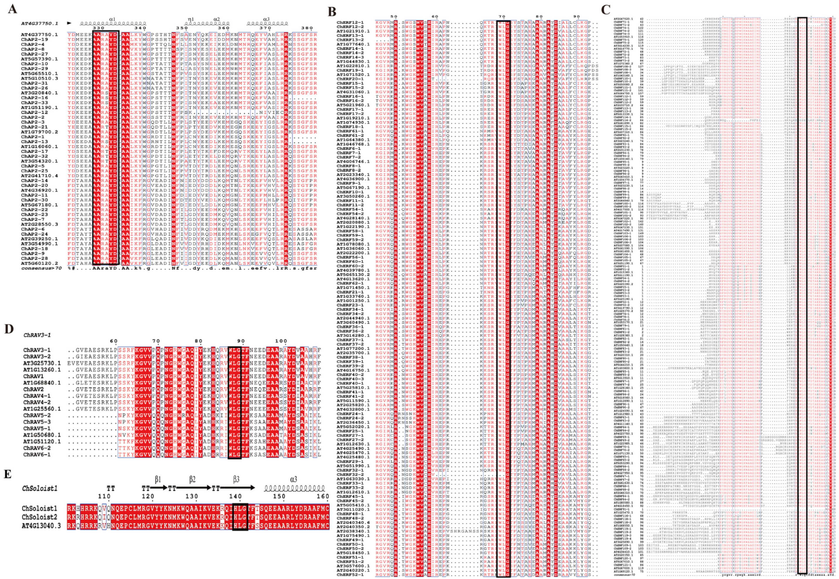 Biology 14 01686 g005