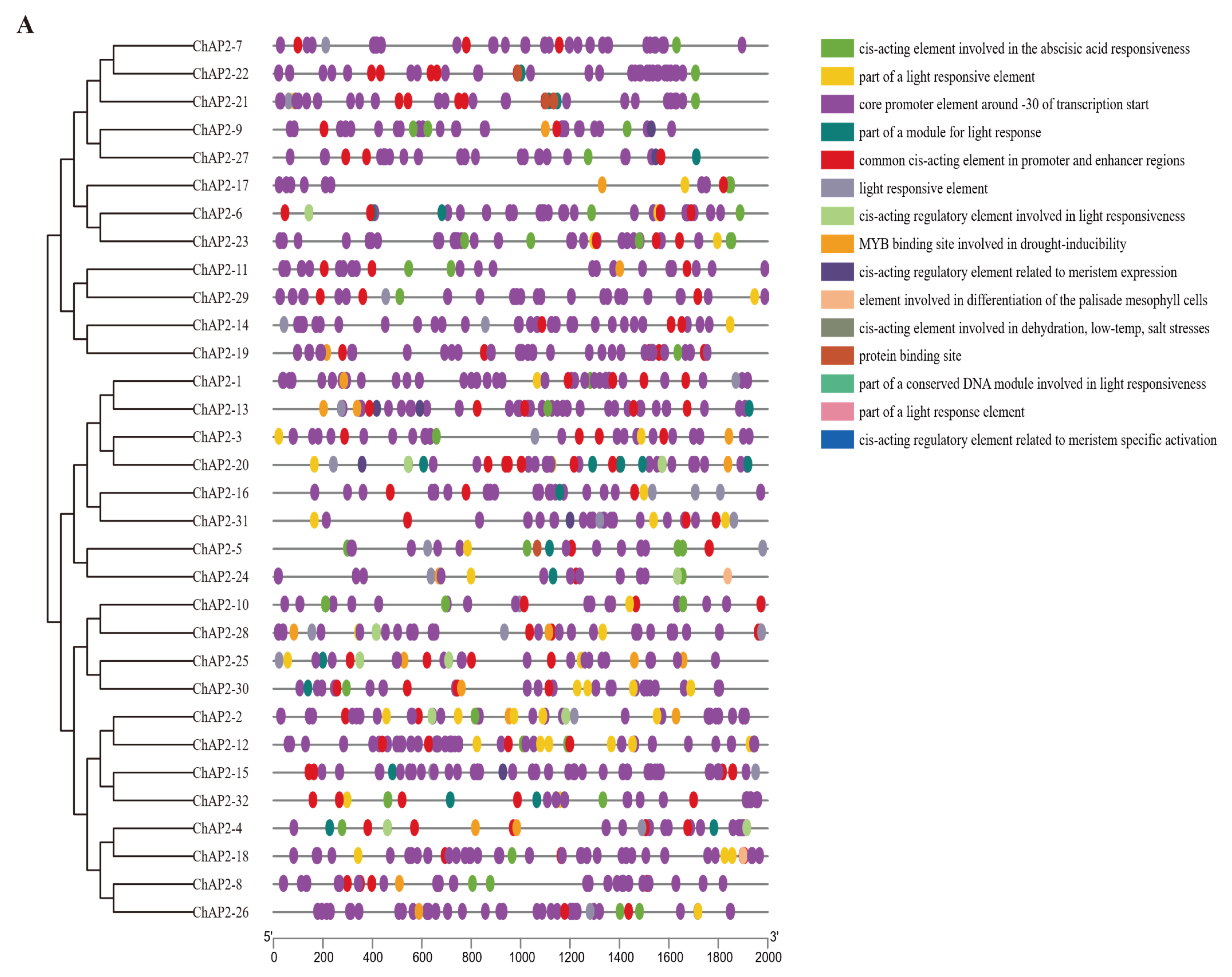 Biology 14 01686 g006a
