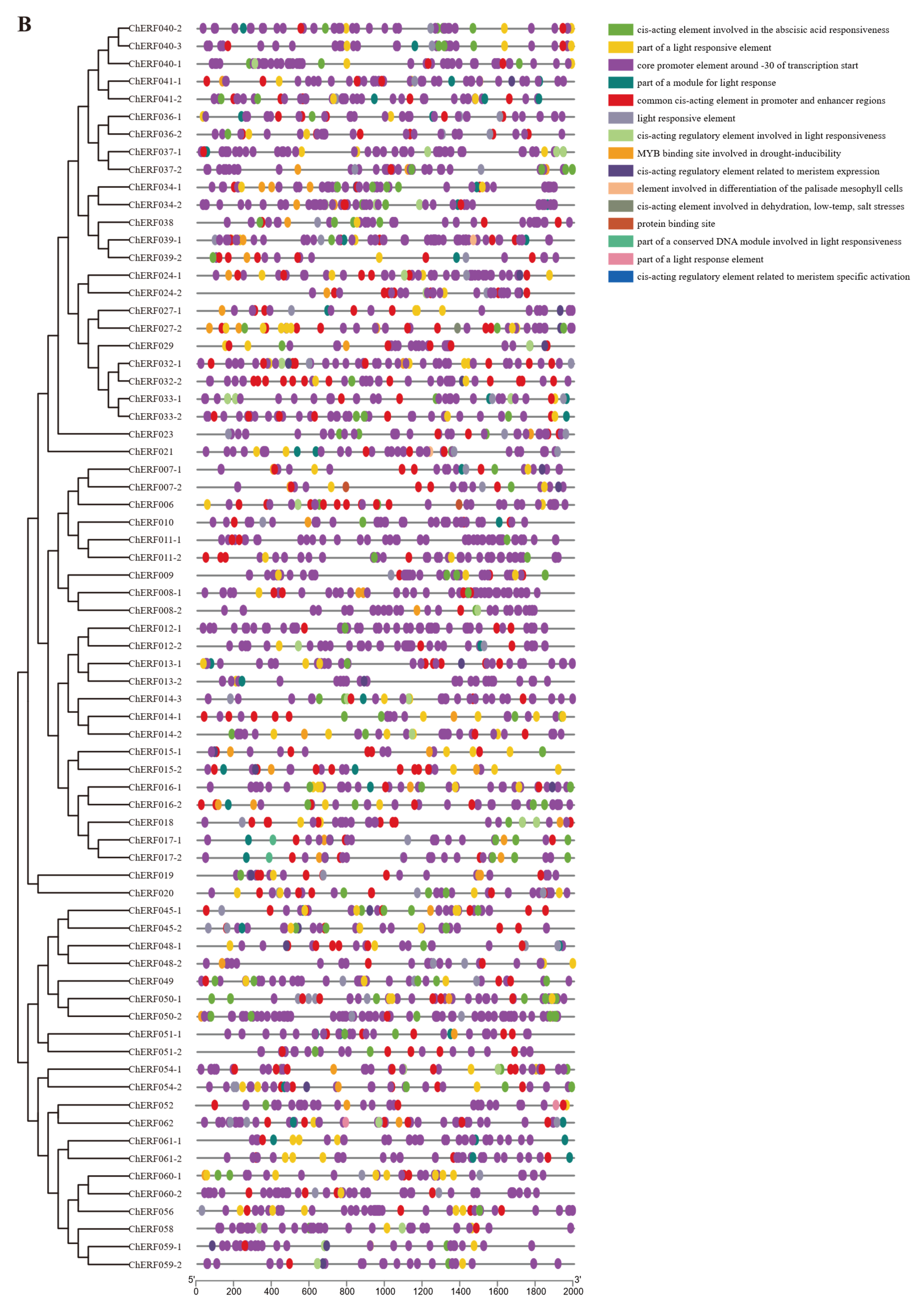 Biology 14 01686 g006b