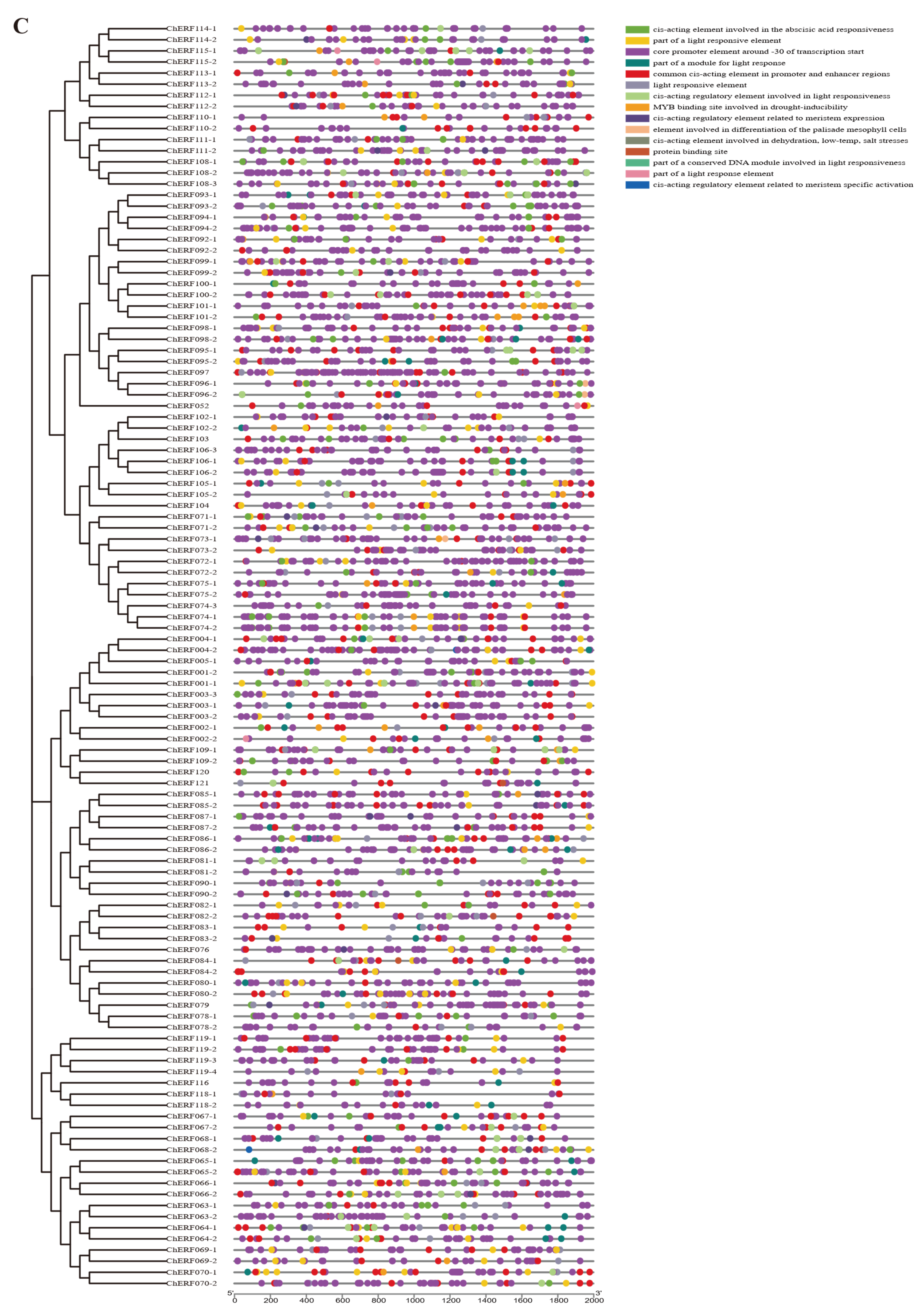 Biology 14 01686 g006c
