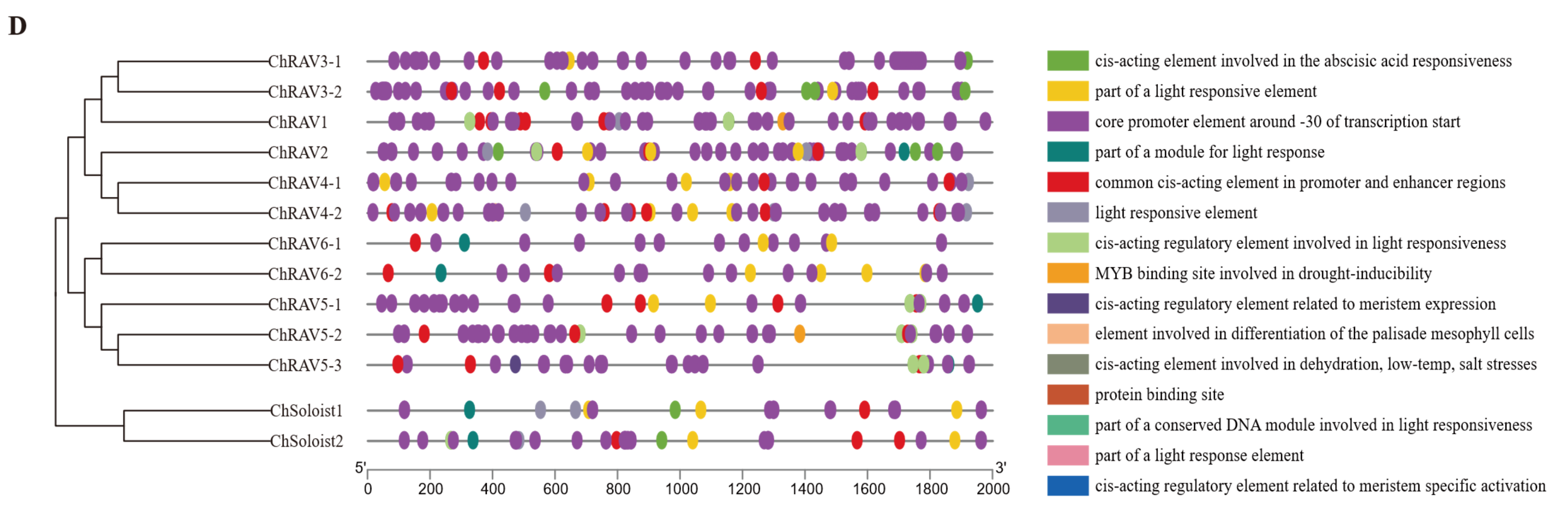 Biology 14 01686 g006d