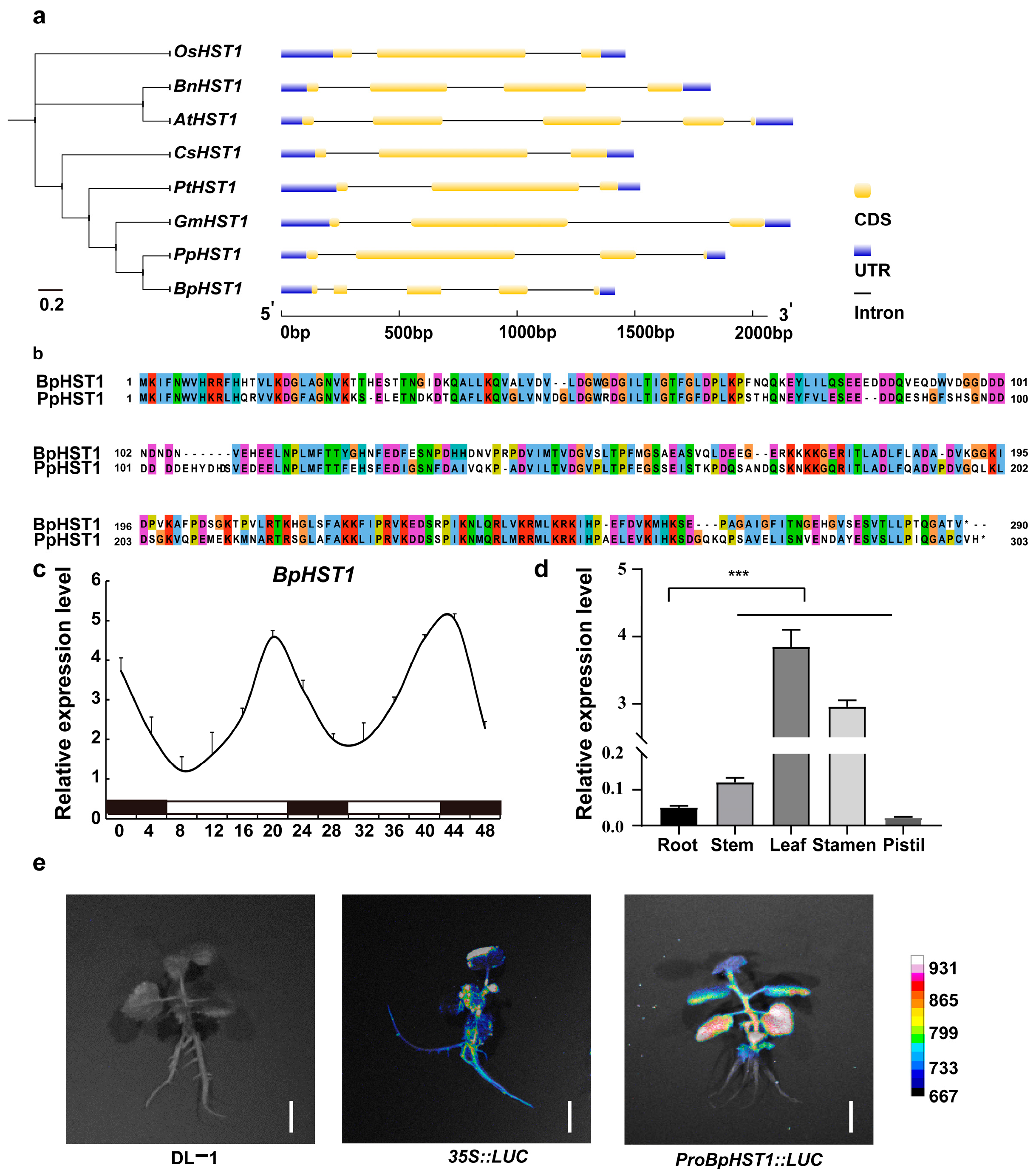 Biology 14 01689 g001