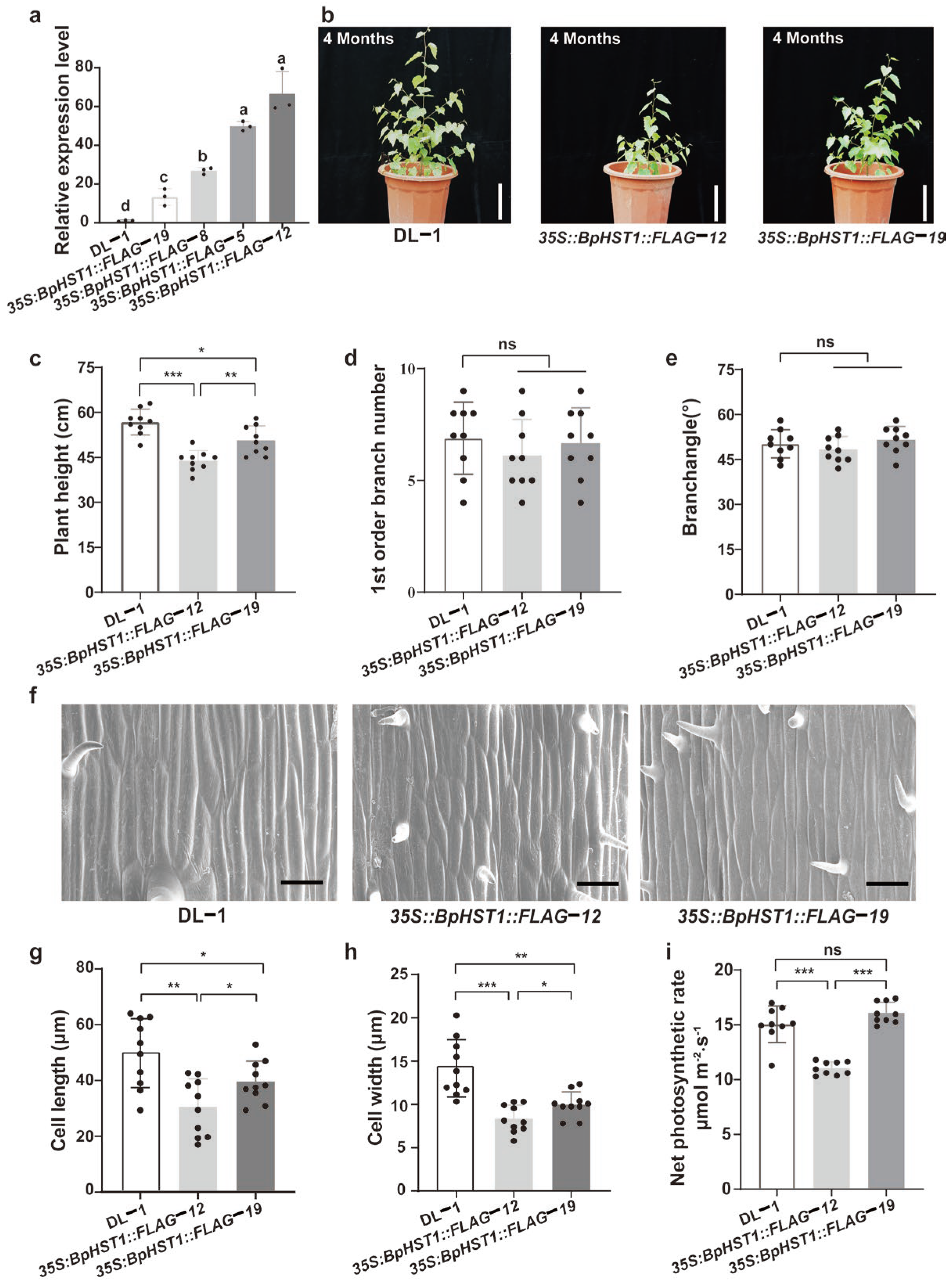 Biology 14 01689 g002