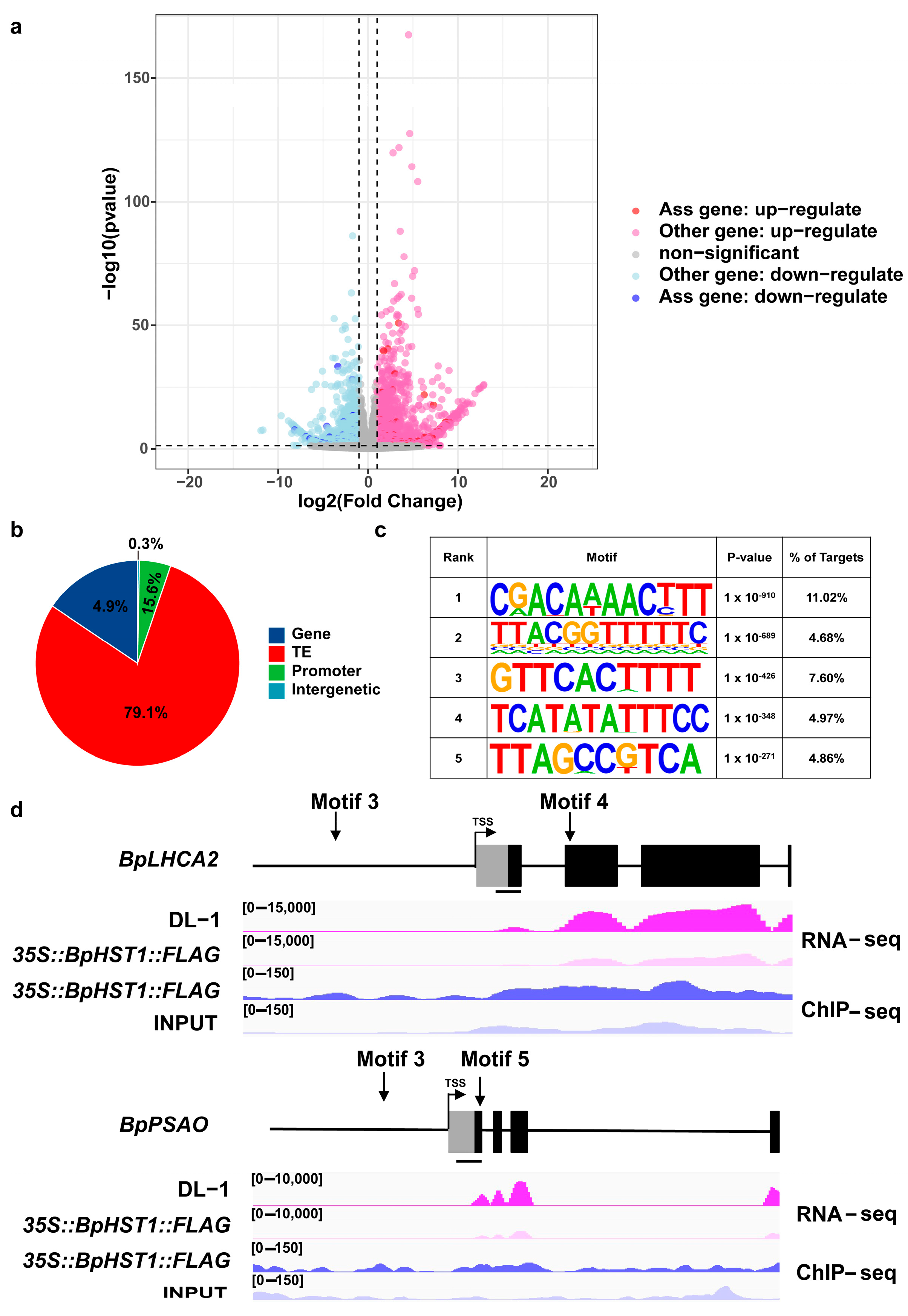Biology 14 01689 g004