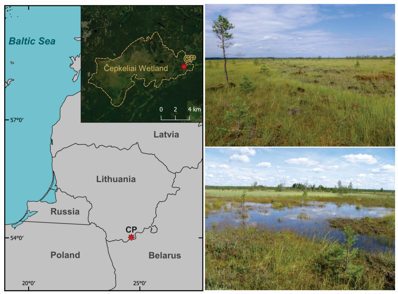 Biology 14 01692 g001