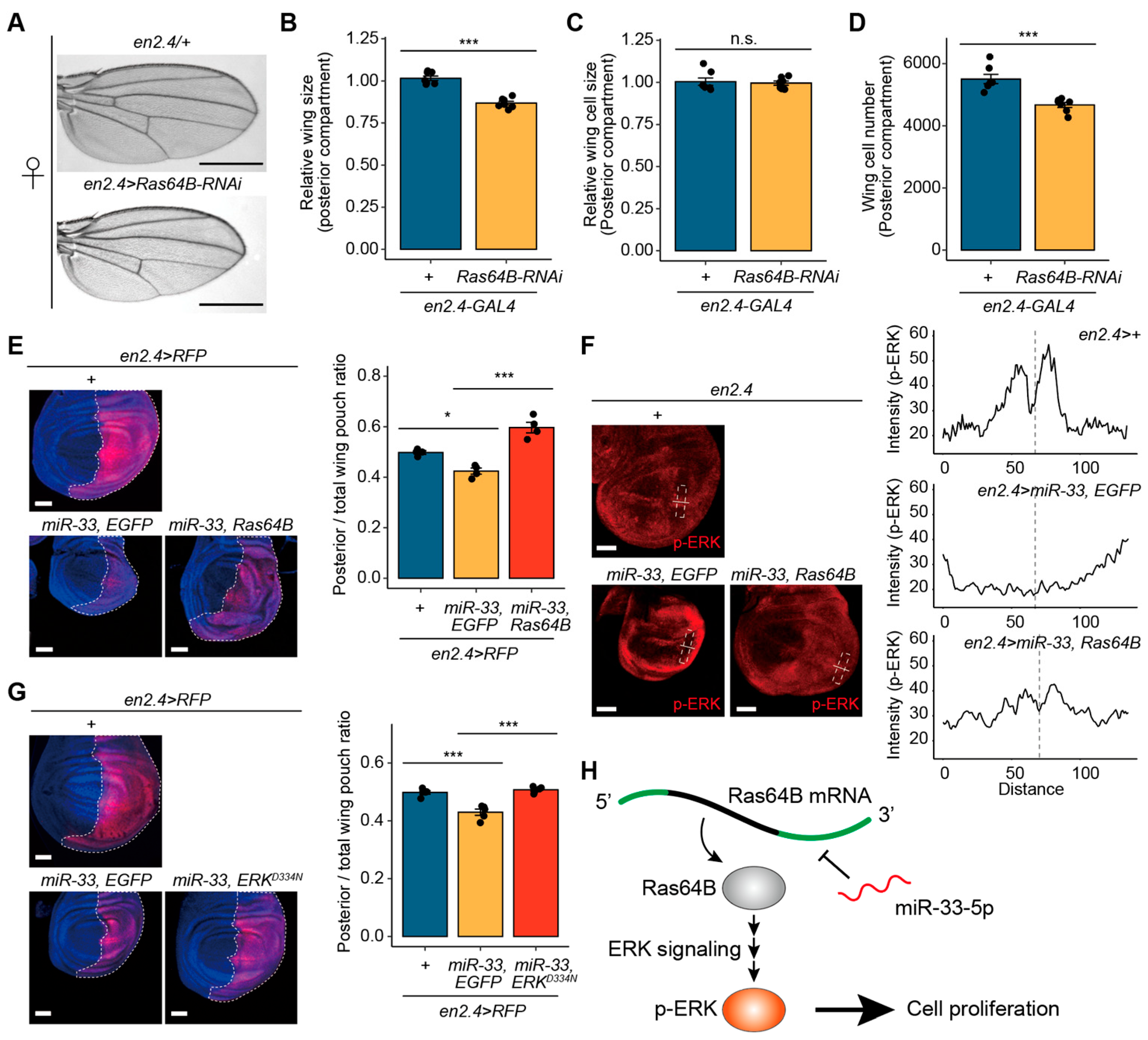 Biology 14 01693 g005