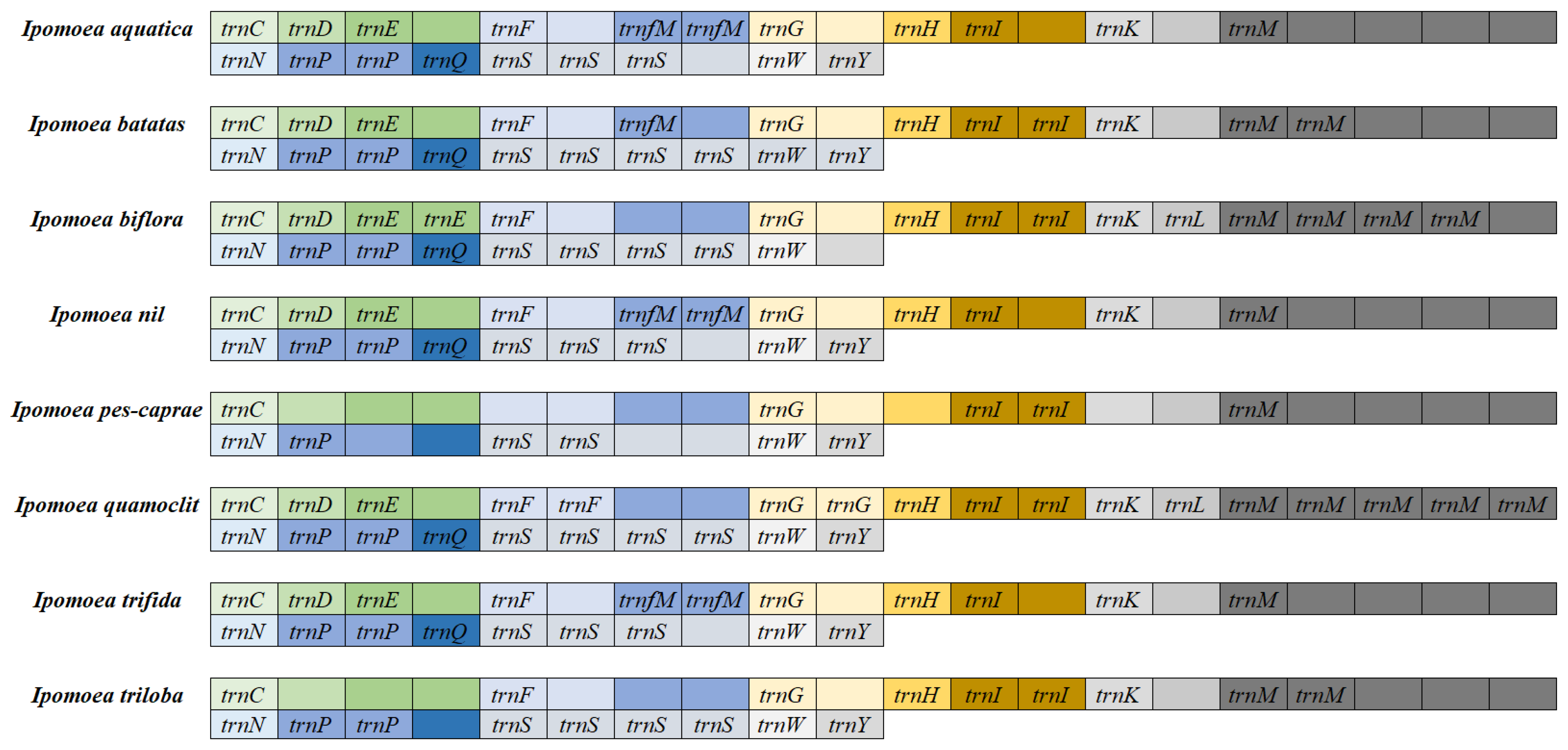Biology 14 01696 g002