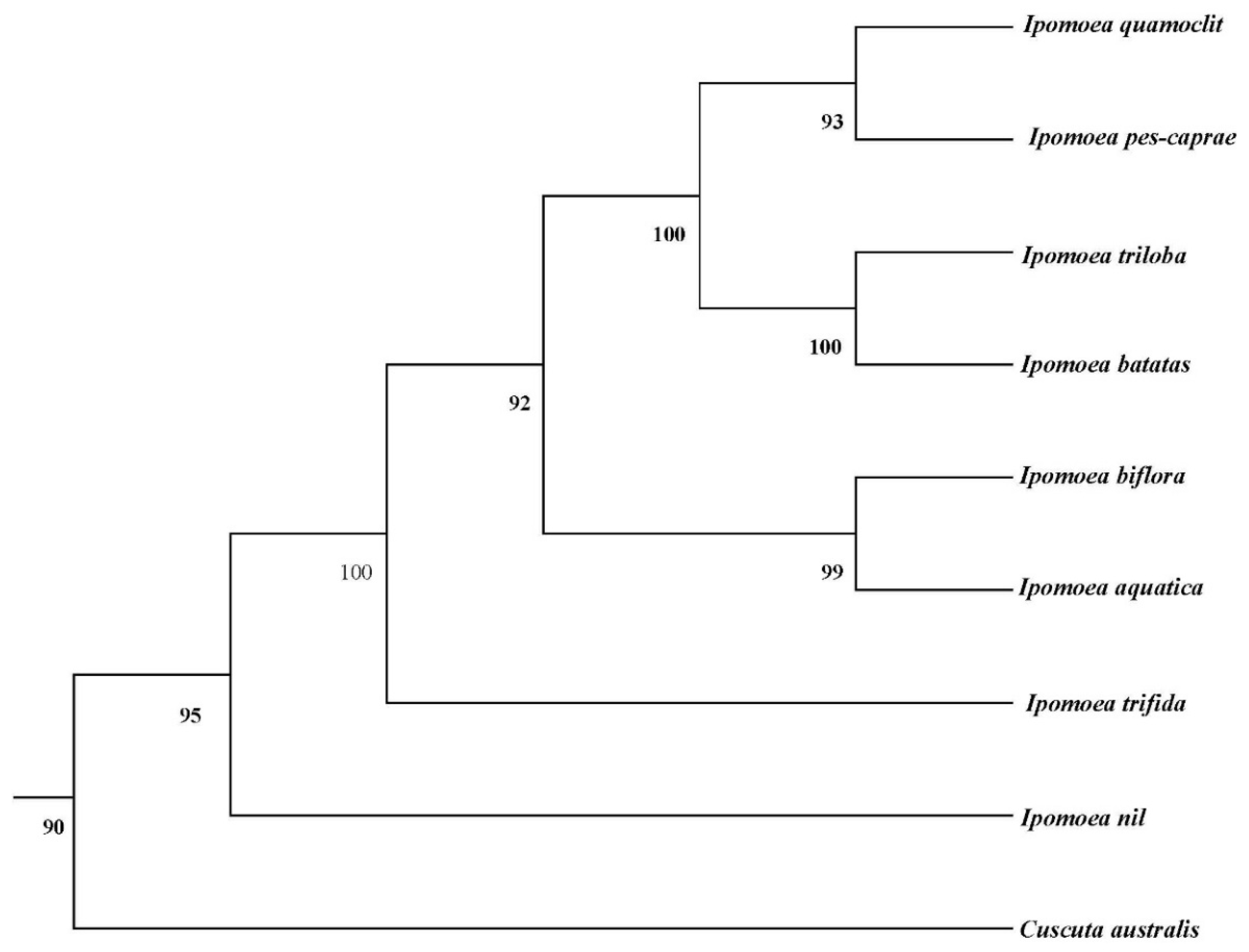 Biology 14 01696 g005