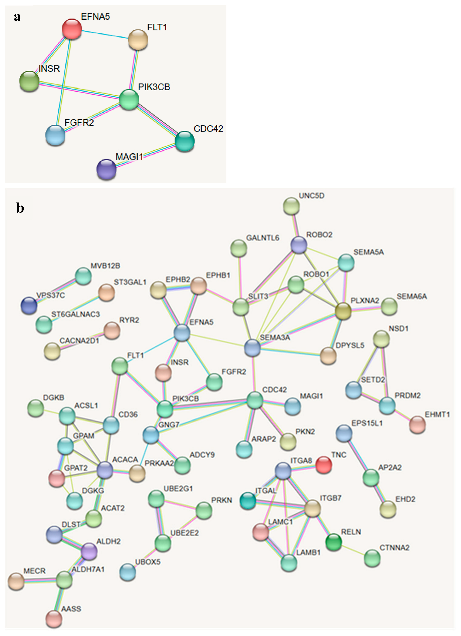 Biology 14 01699 g004