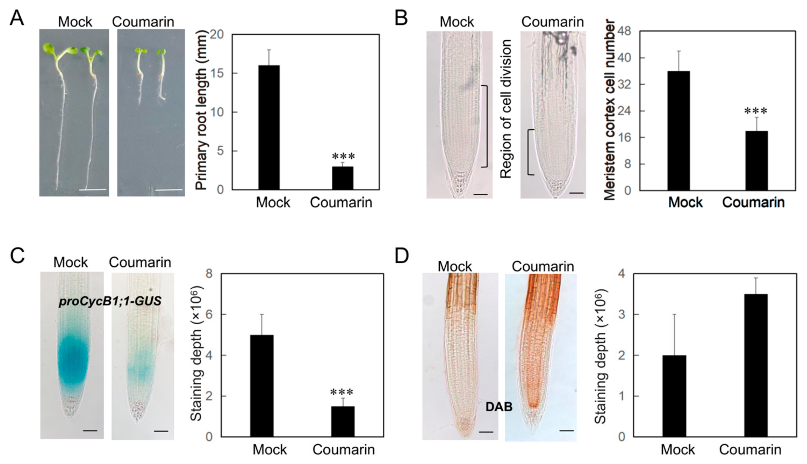 Biology 14 01701 g001