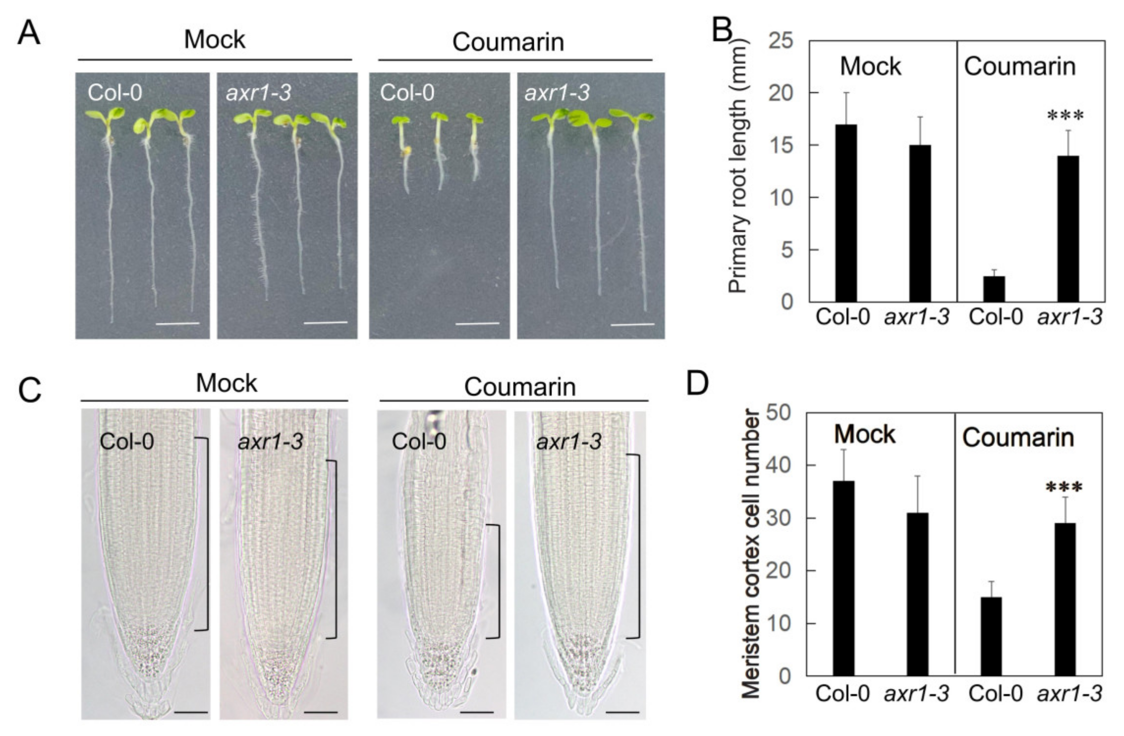 Biology 14 01701 g002