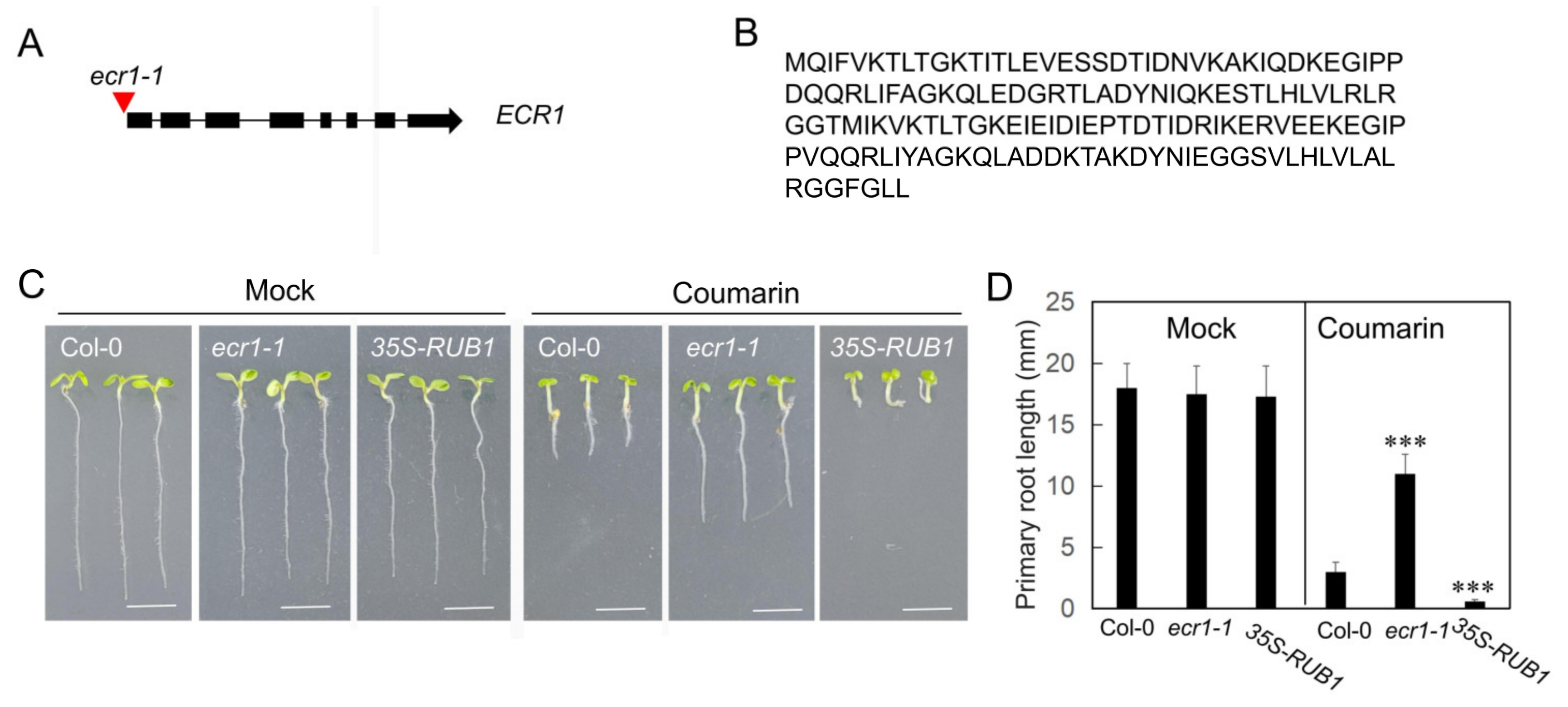 Biology 14 01701 g003