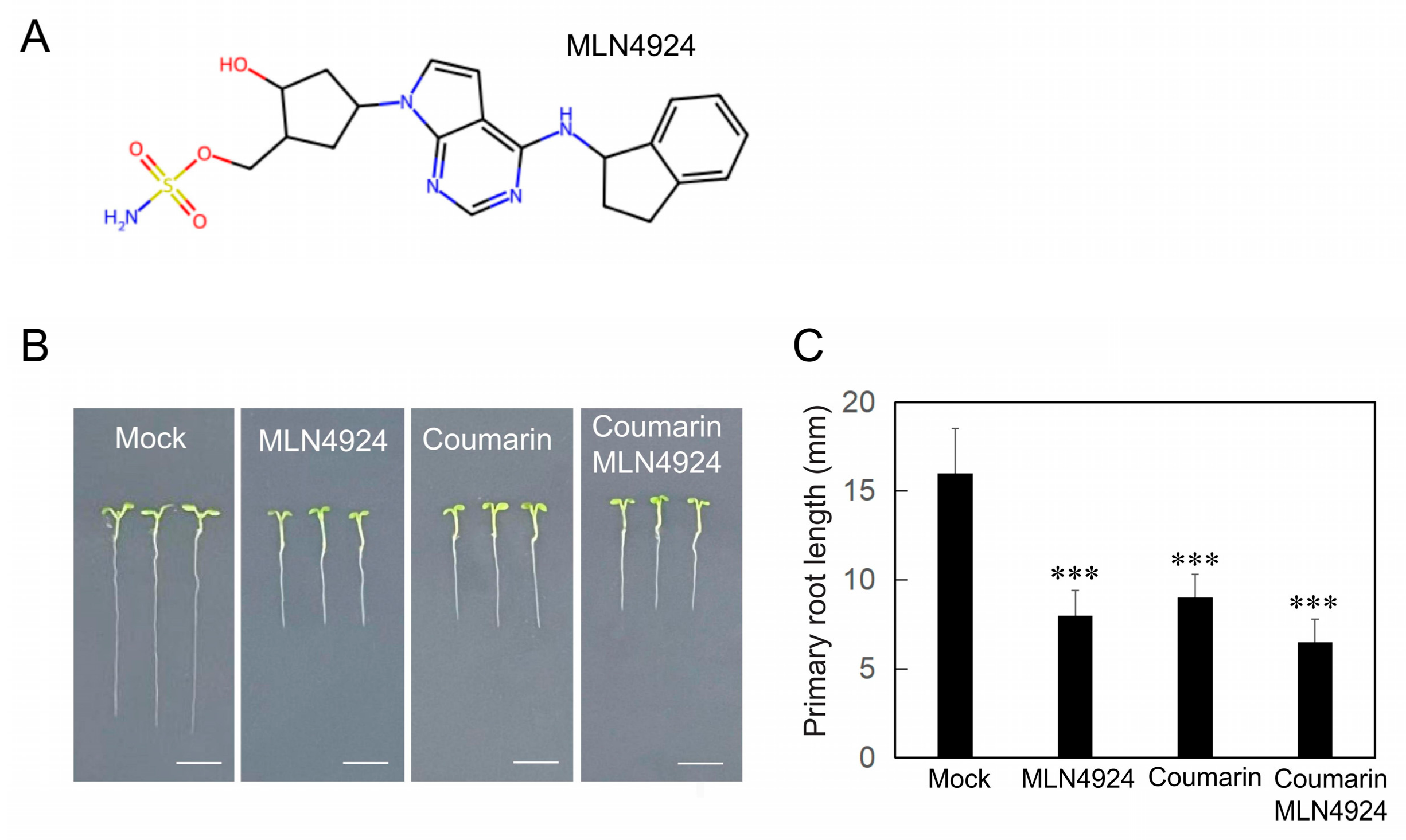 Biology 14 01701 g004