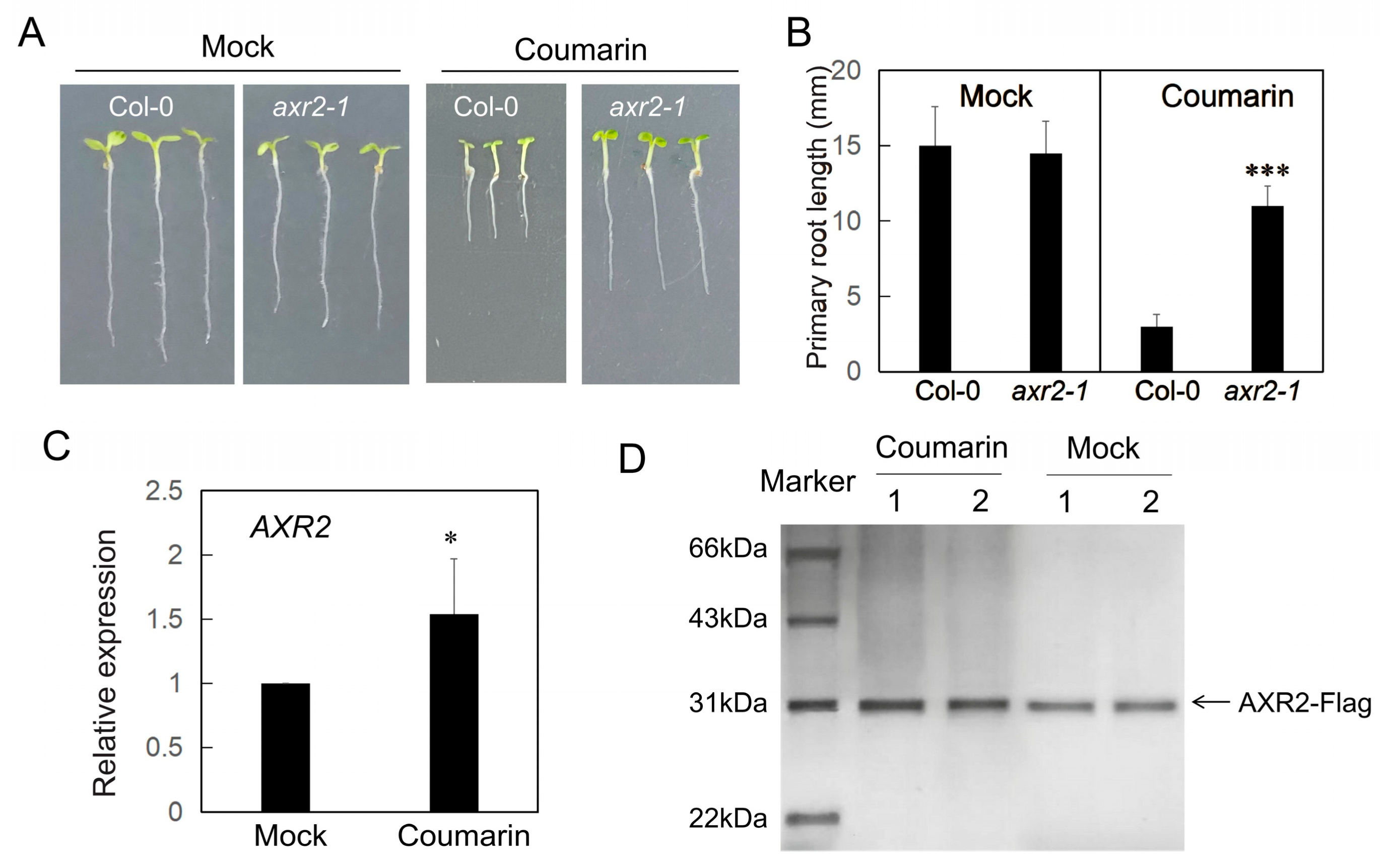 Biology 14 01701 g005
