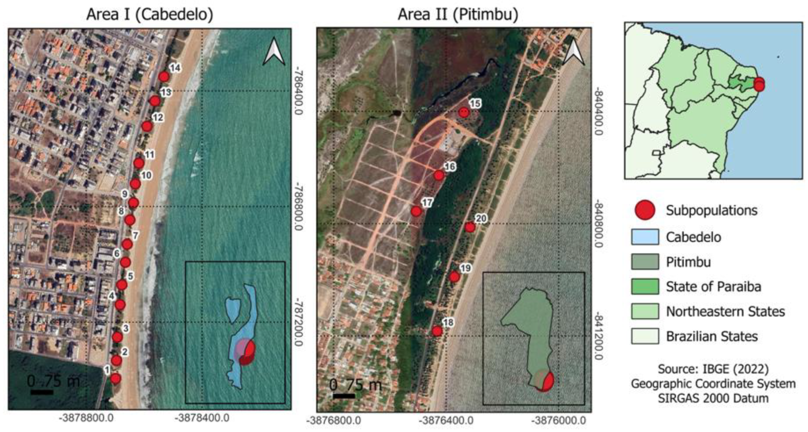 Biology 14 01702 g001 Biology 14 01702 g001