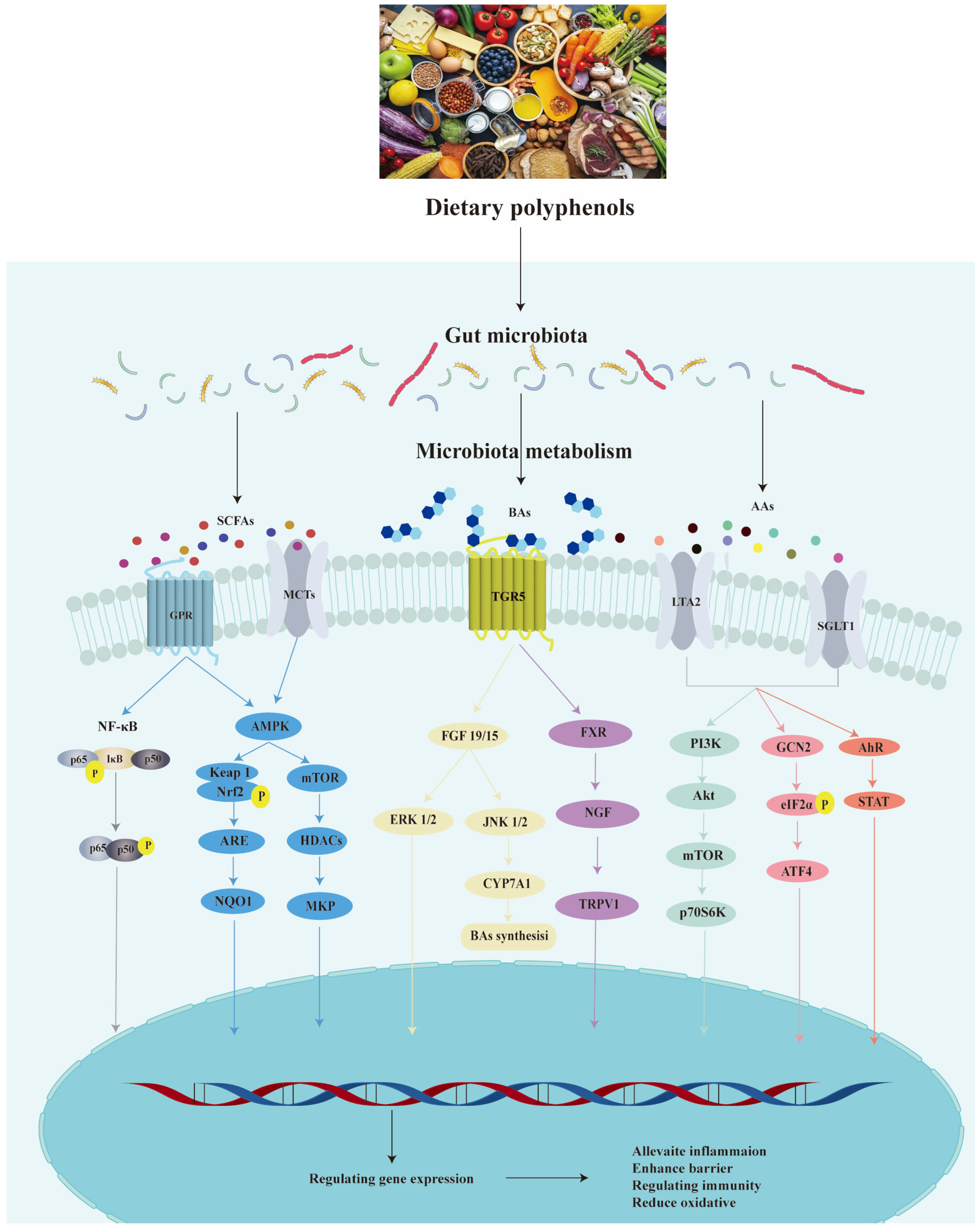 Biology 14 01705 g002