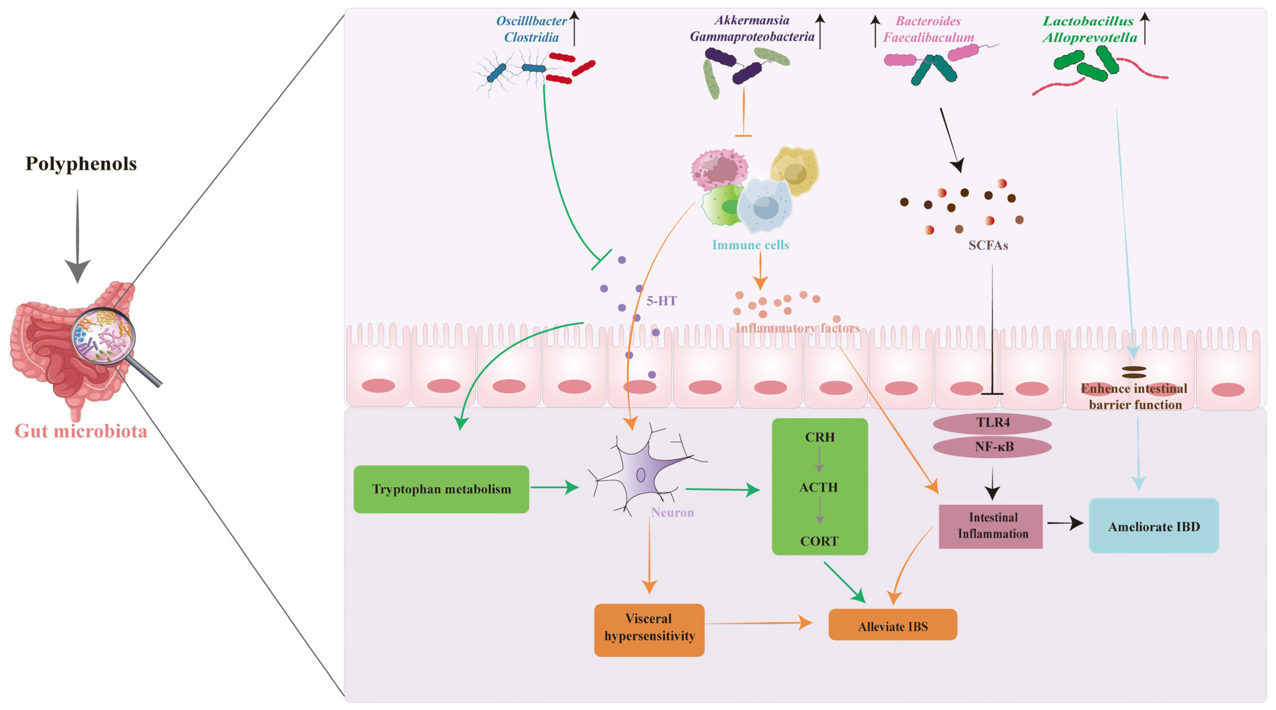 Biology 14 01705 g003