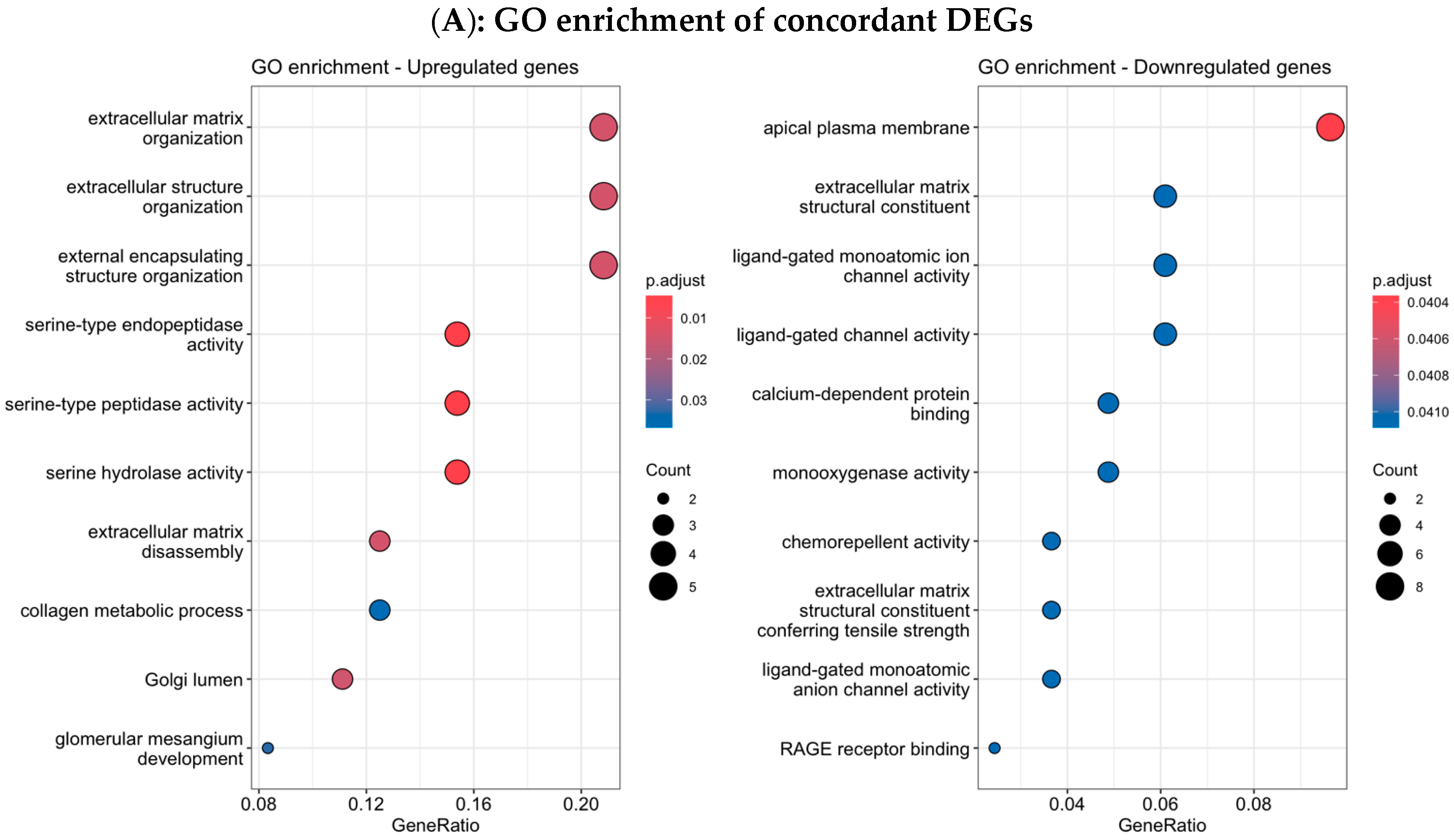 Biology 14 01706 g006a Biology 14 01706 g006a