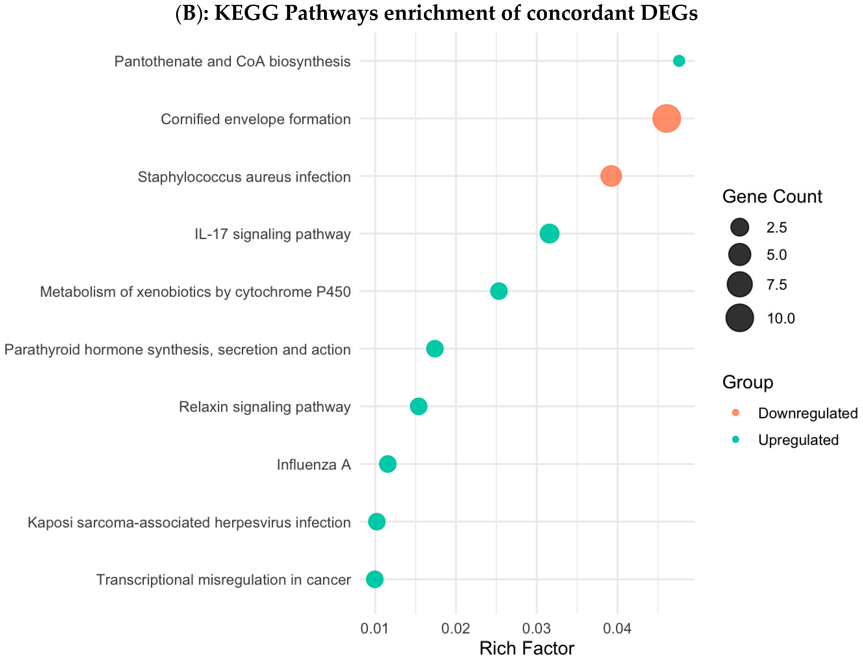 Biology 14 01706 g006b Biology 14 01706 g006b