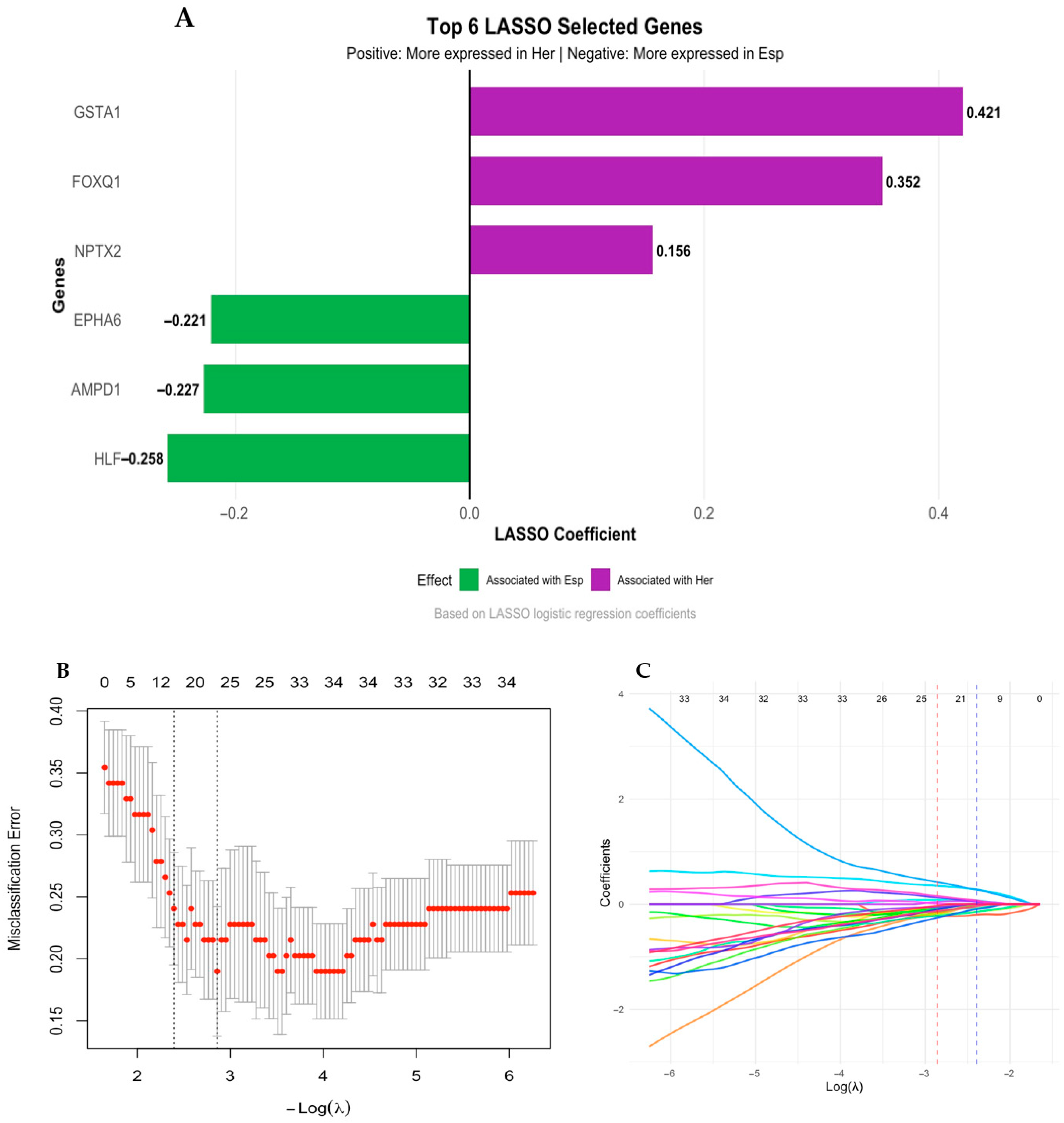 Biology 14 01706 g007 Biology 14 01706 g007