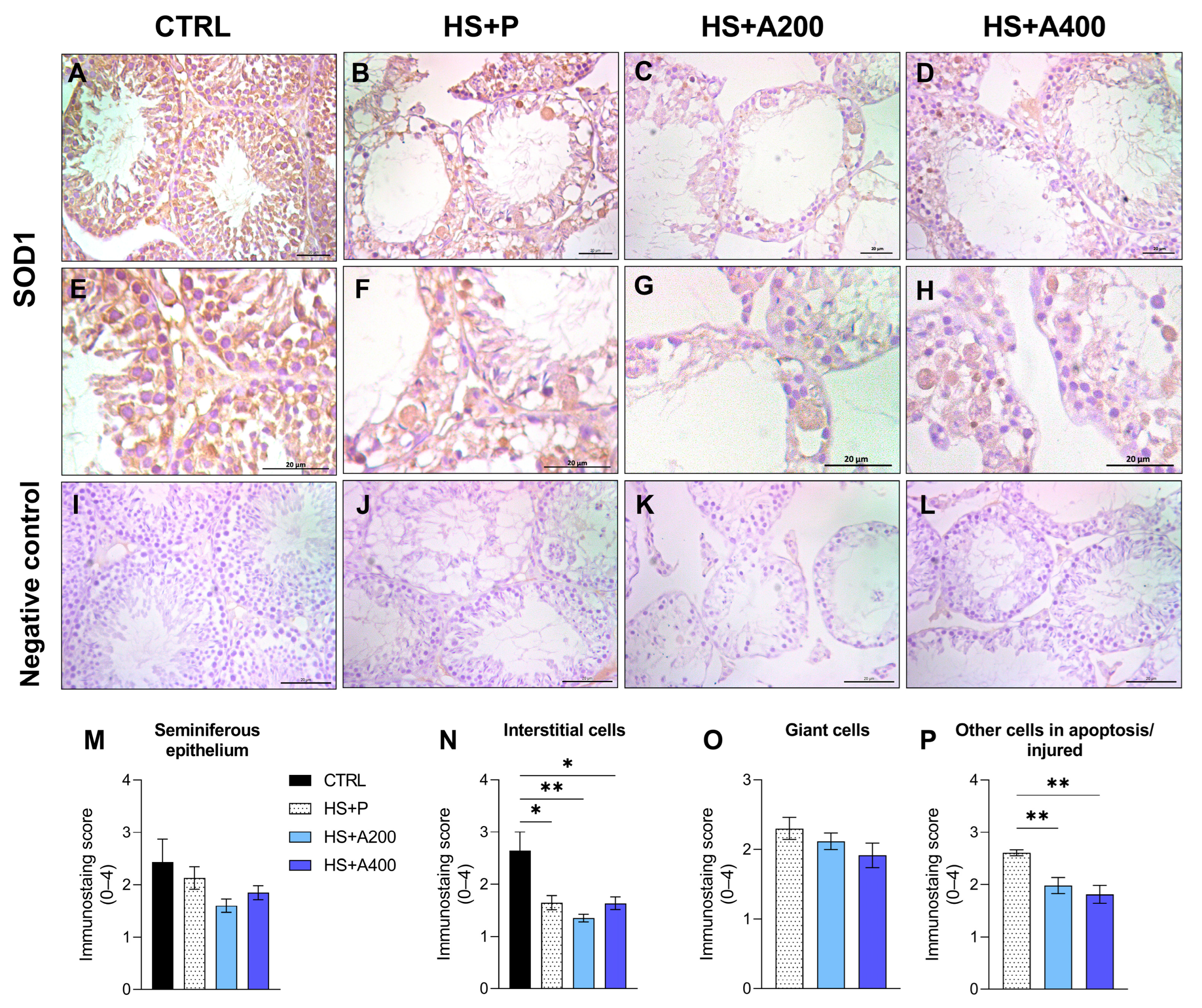 Biology 14 01708 g005