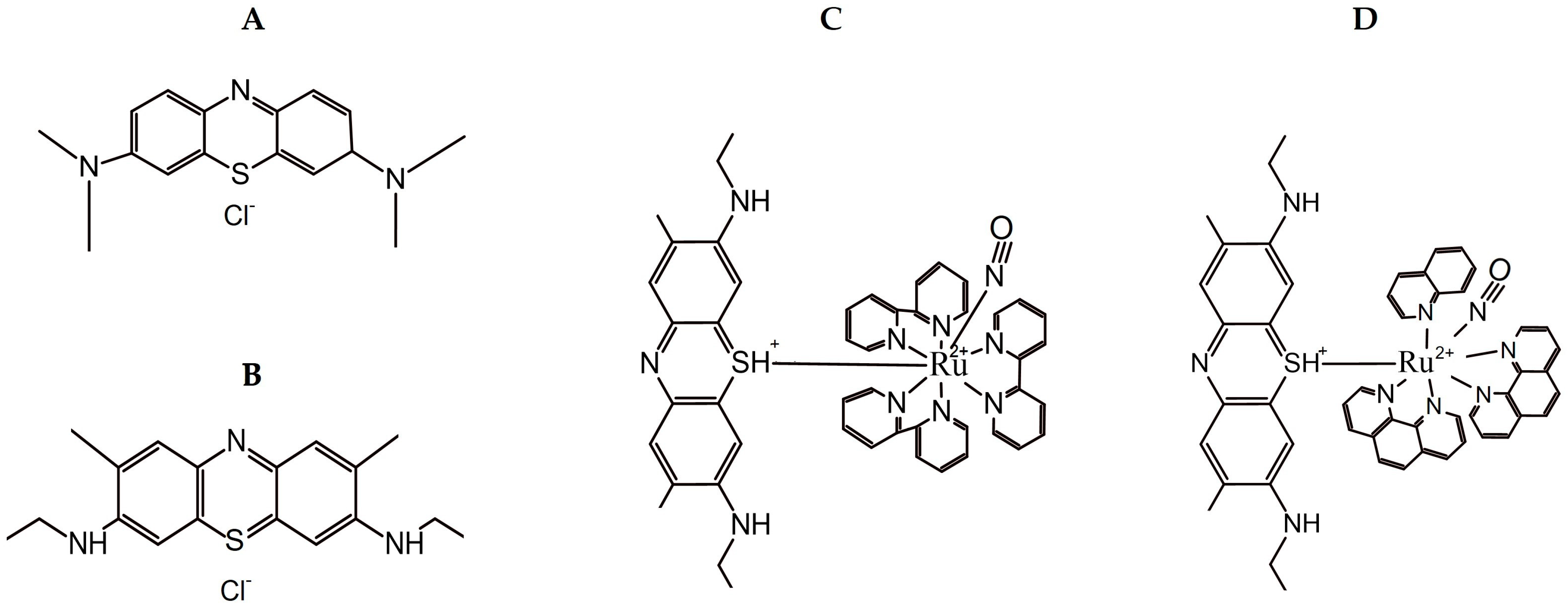 Biology 14 01709 g001