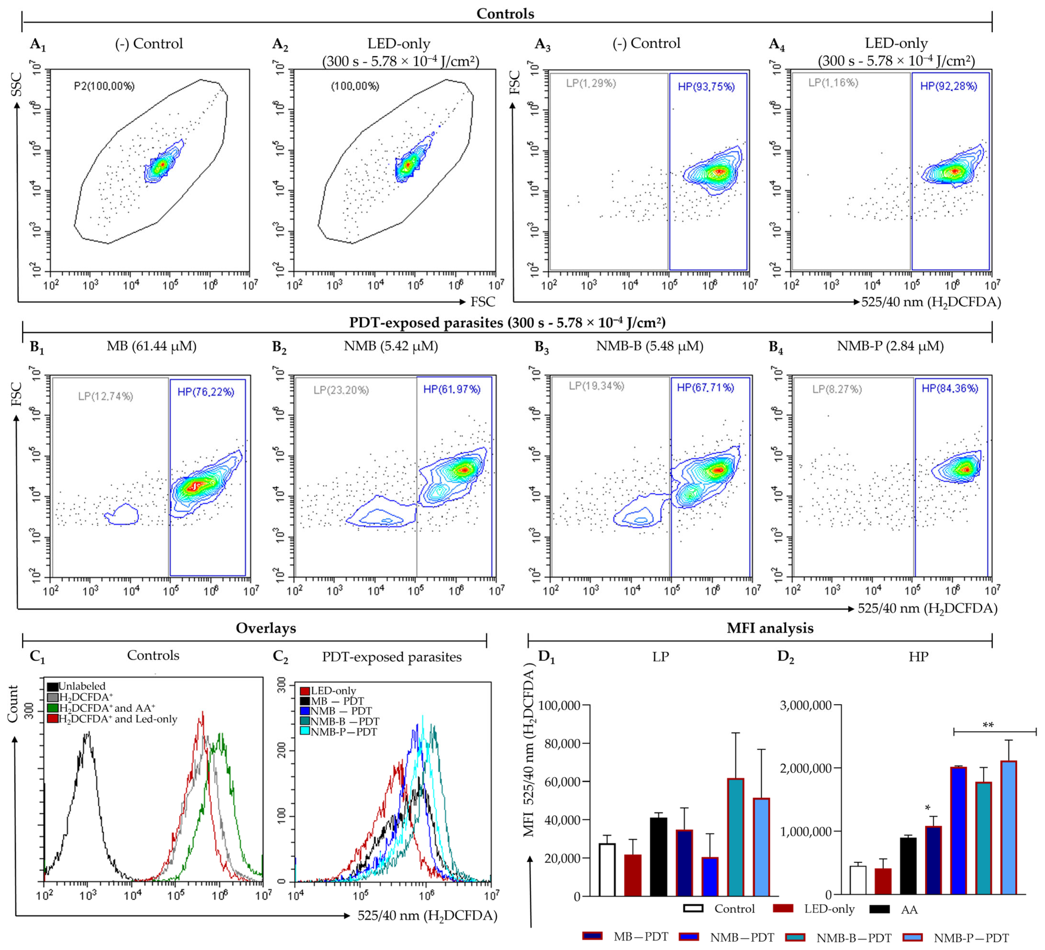 Biology 14 01710 g002 Biology 14 01710 g002
