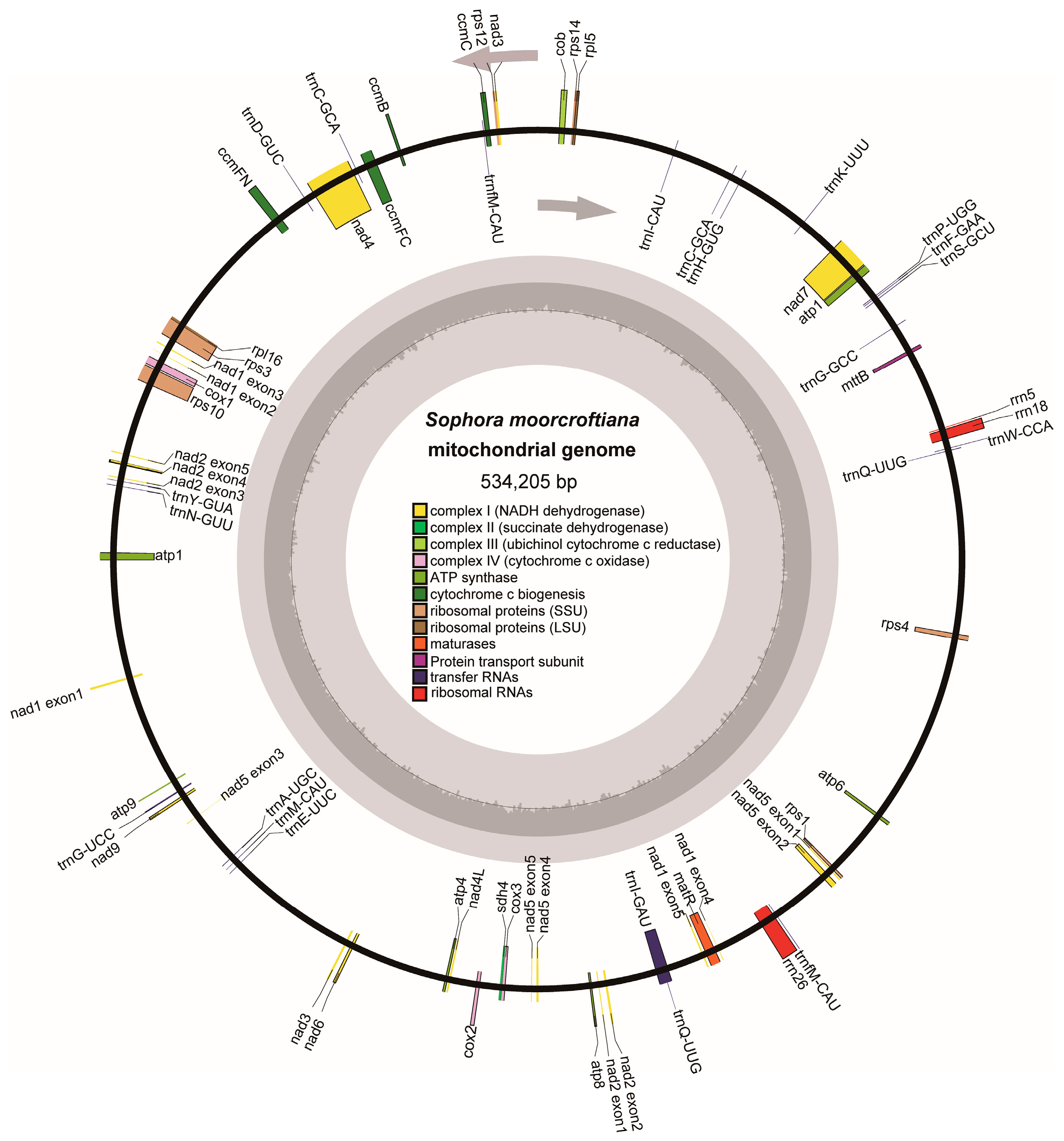 Biology 14 01711 g001
