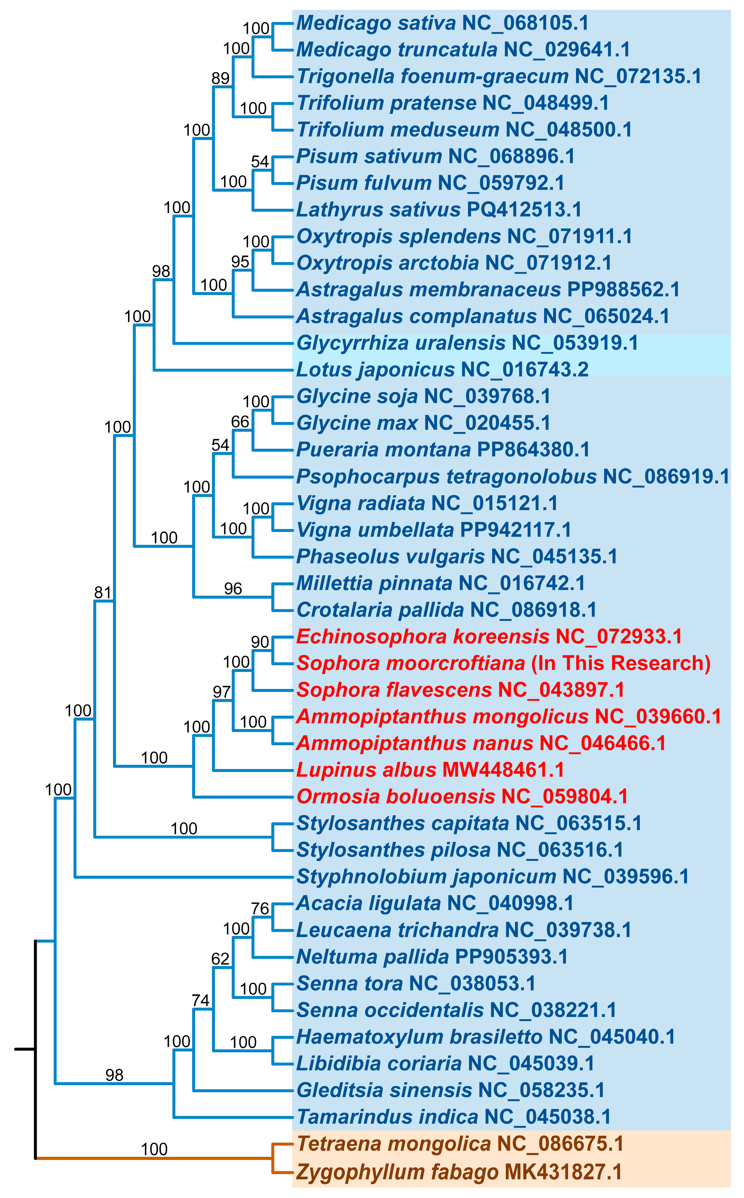 Biology 14 01711 g004