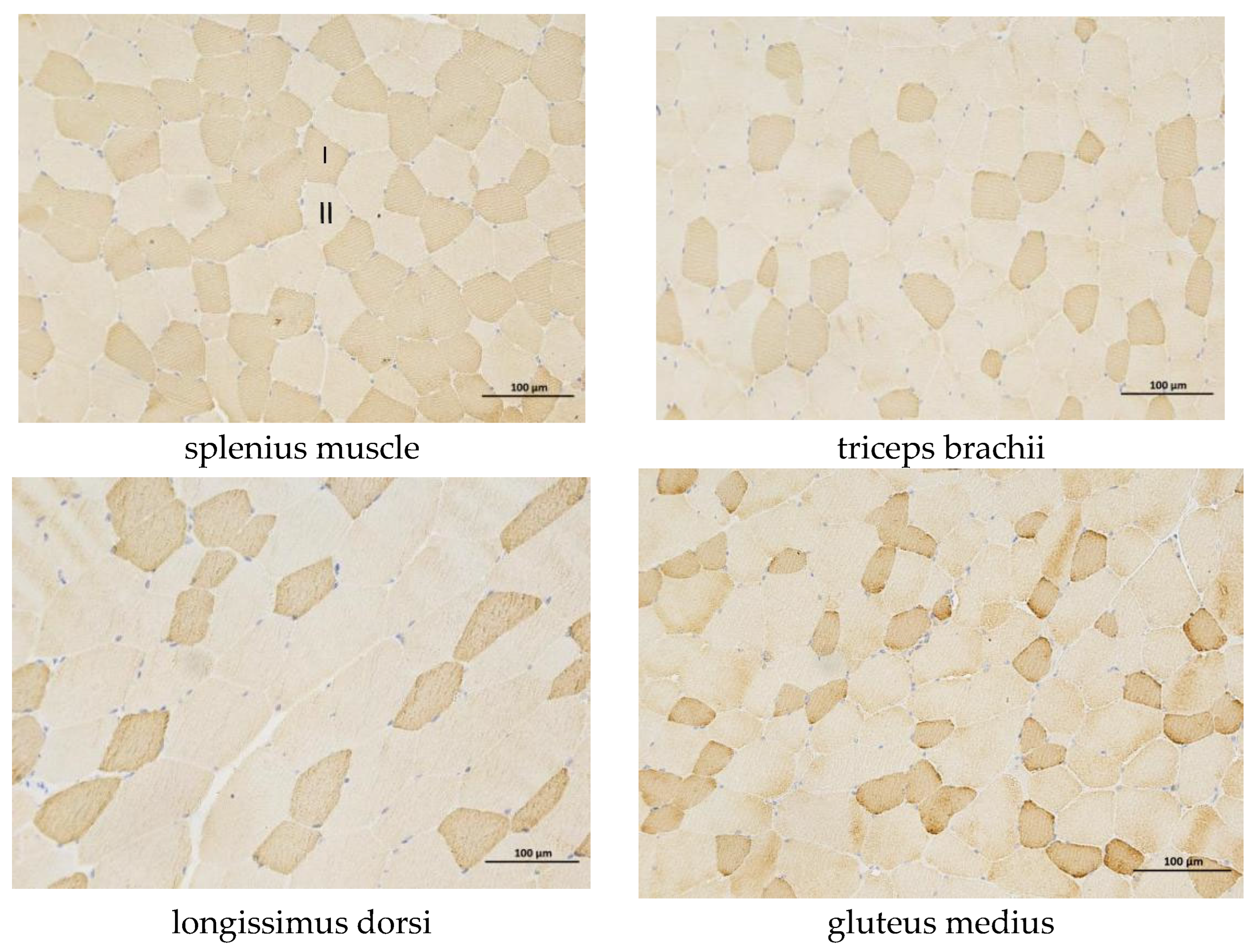 Biology 14 01713 g001
