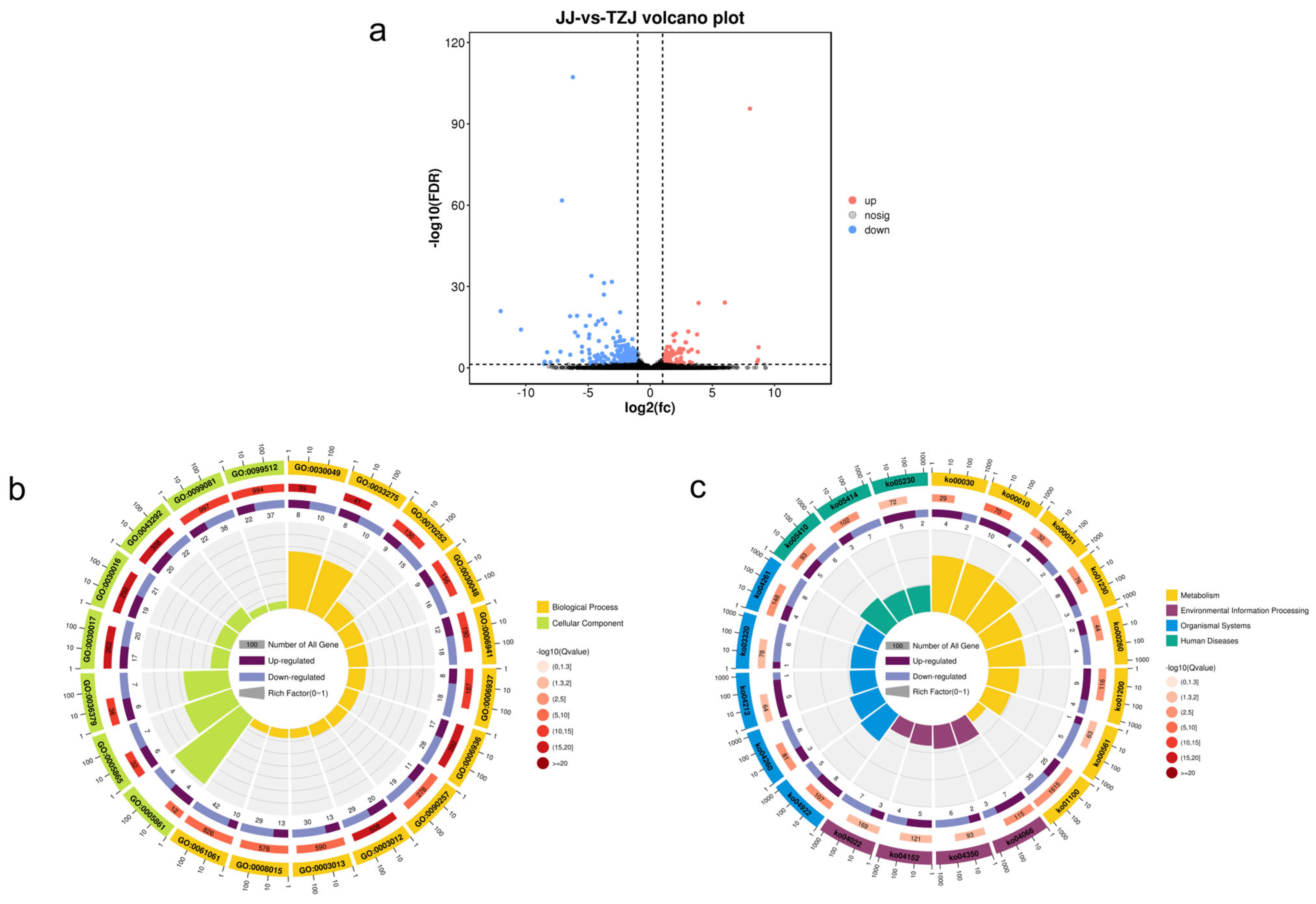 Biology 14 01713 g003