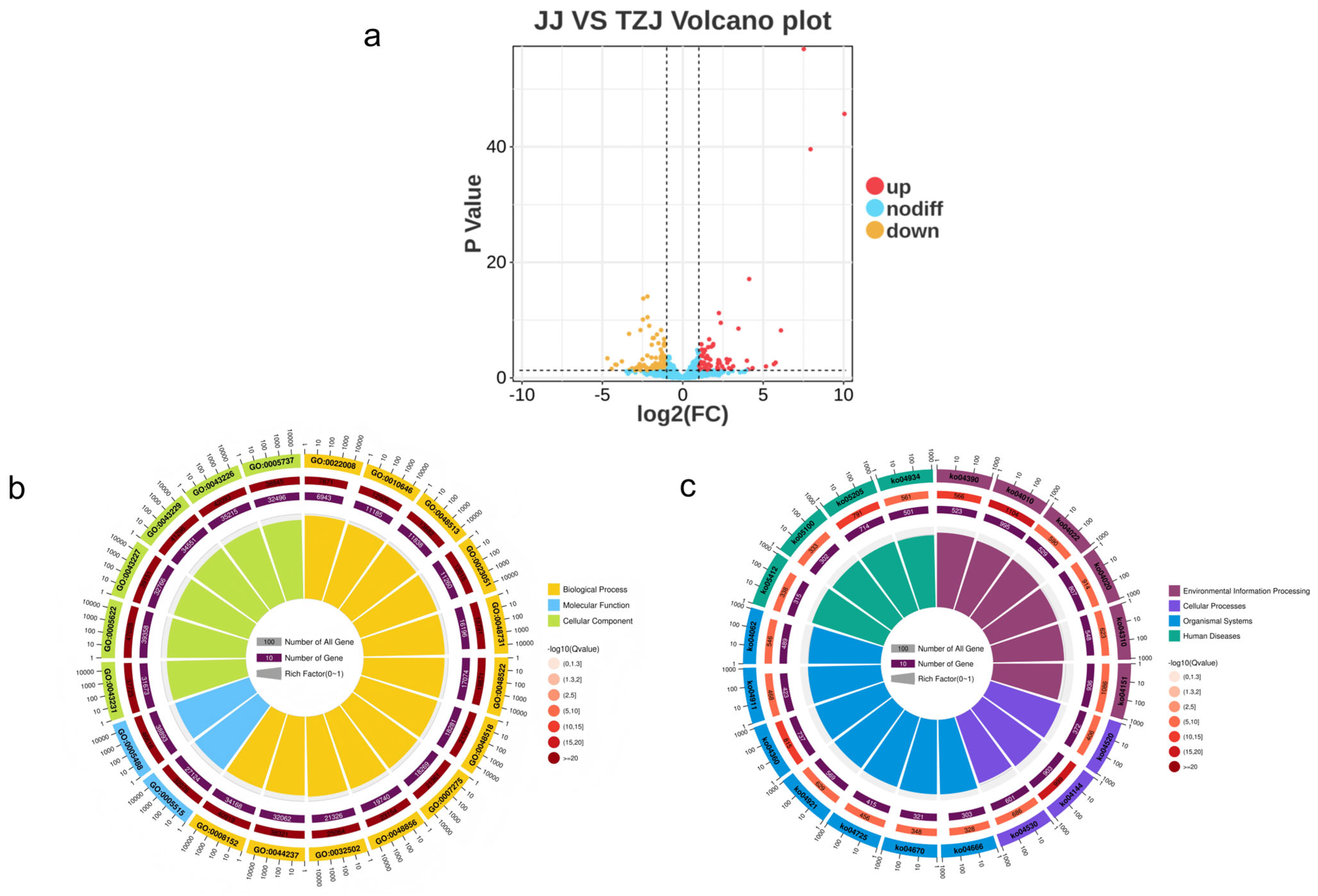Biology 14 01713 g004