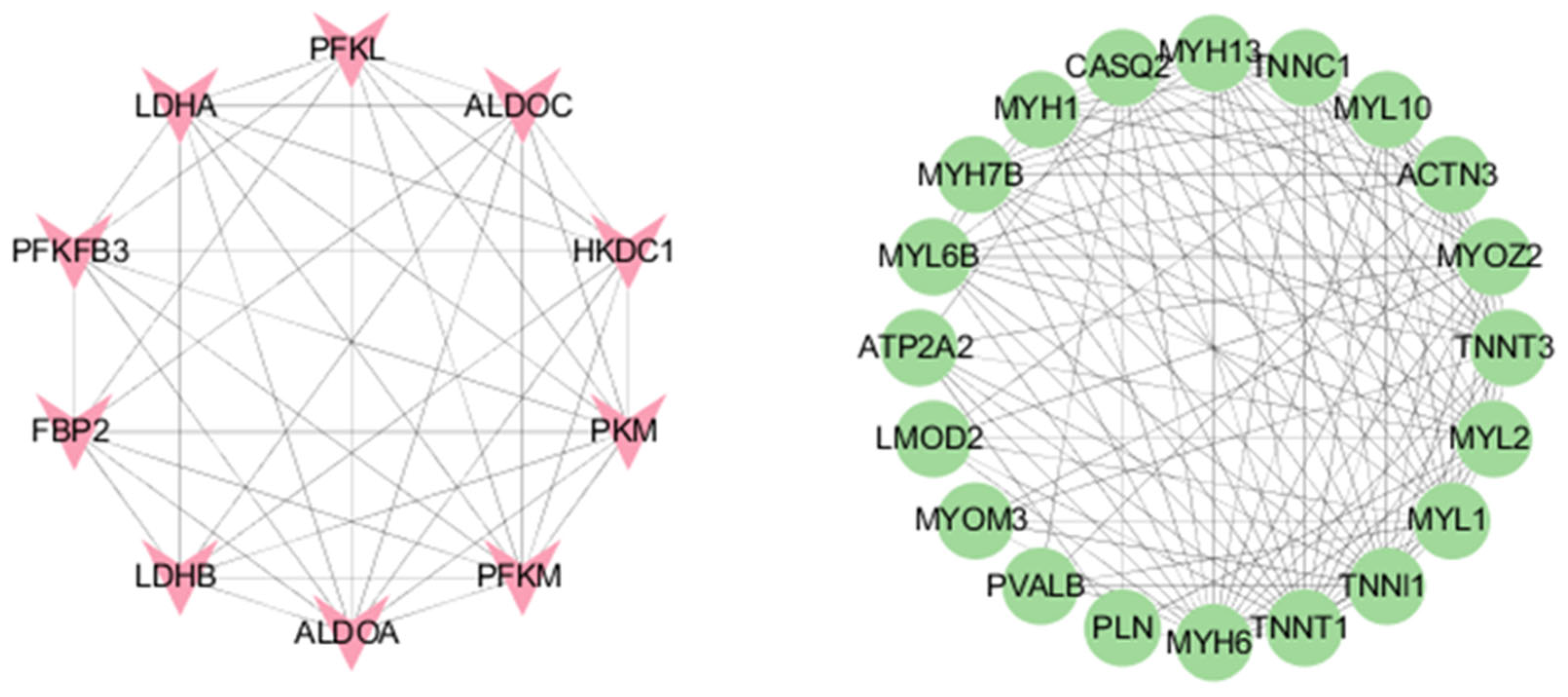 Biology 14 01713 g005