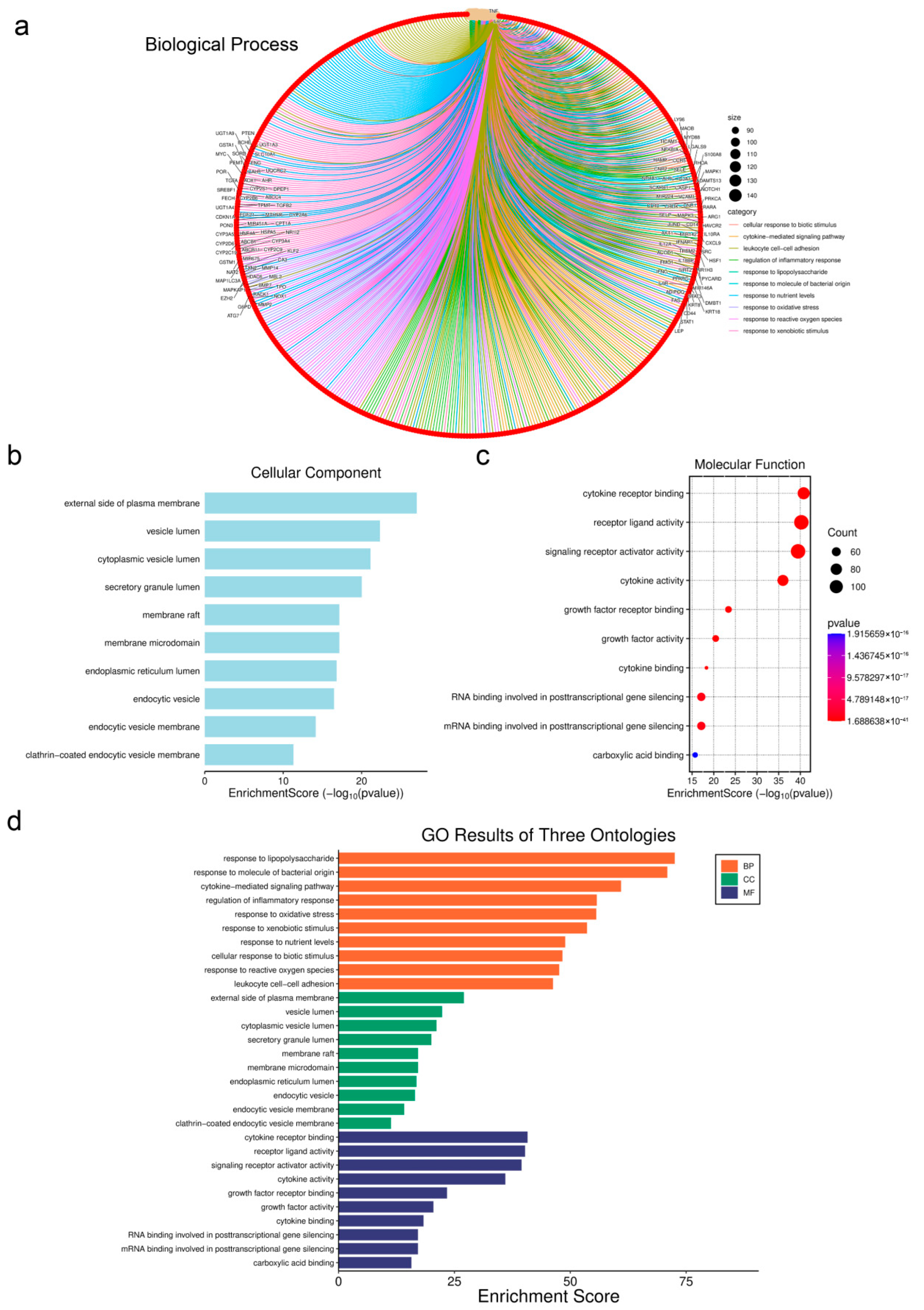 Biology 14 01714 g004