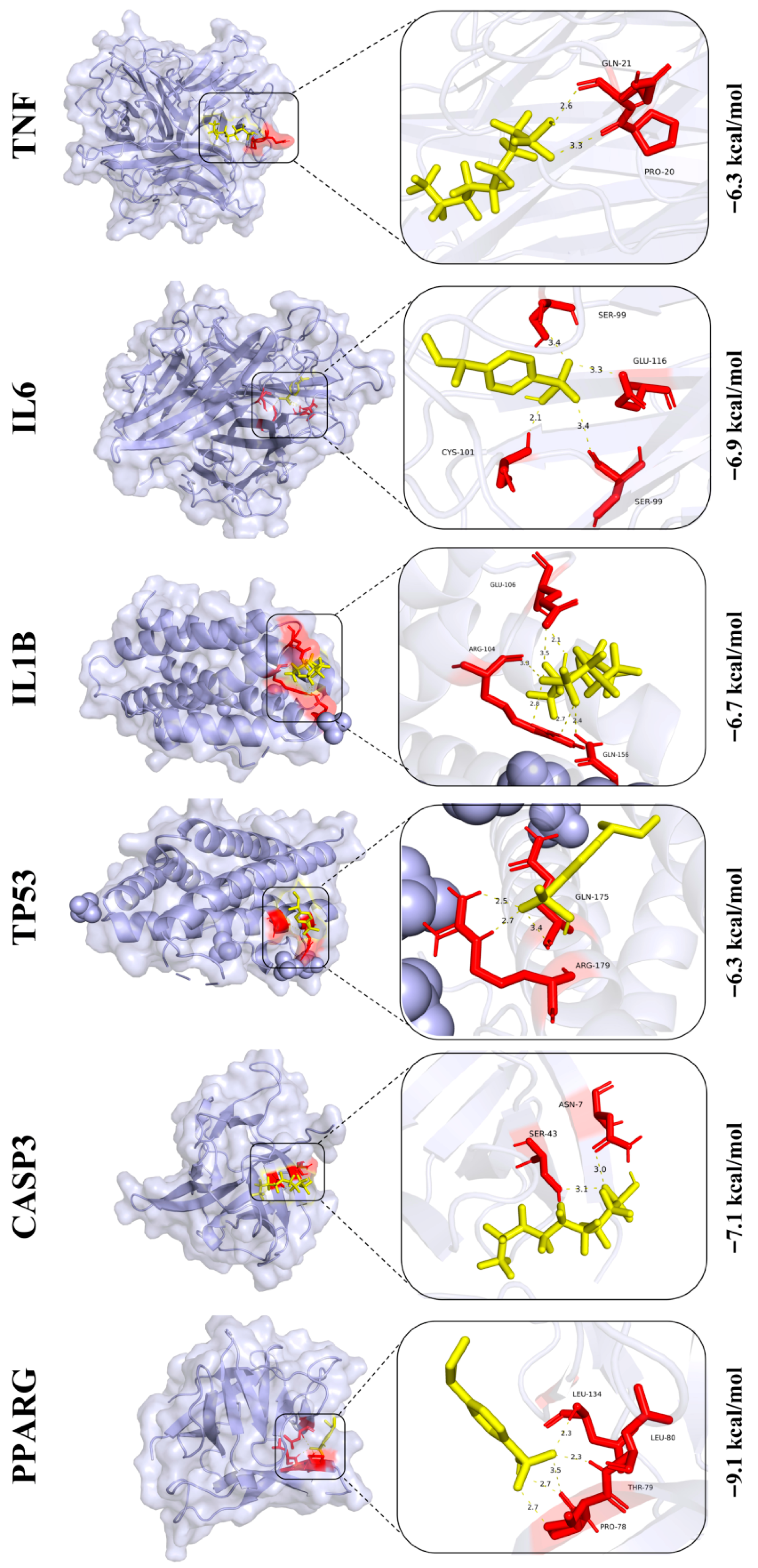Biology 14 01714 g008