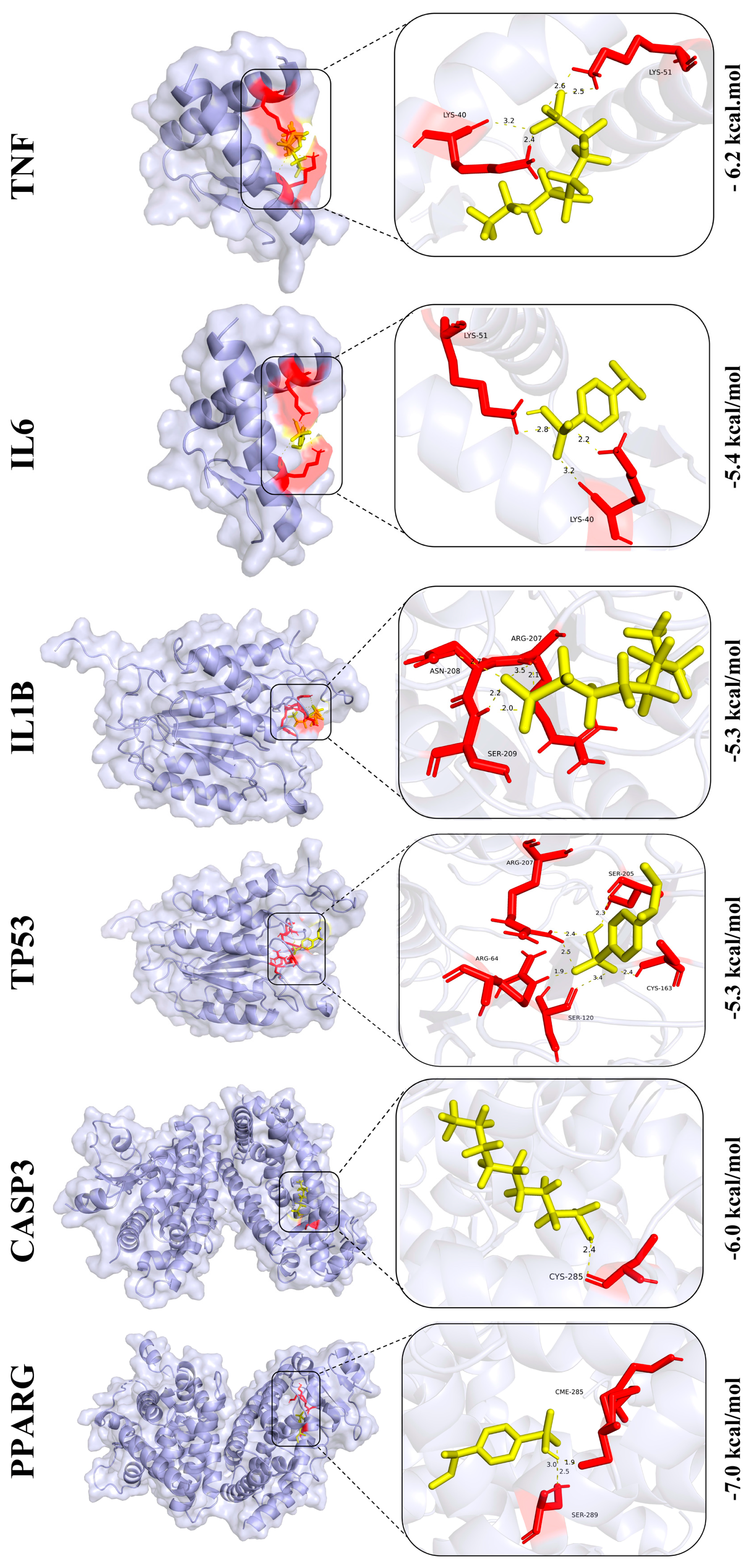 Biology 14 01714 g009